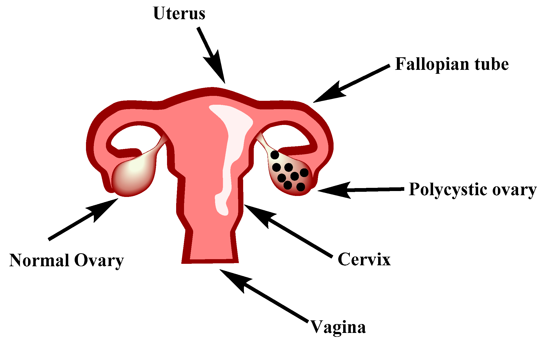 Biotech 12 00004 g001