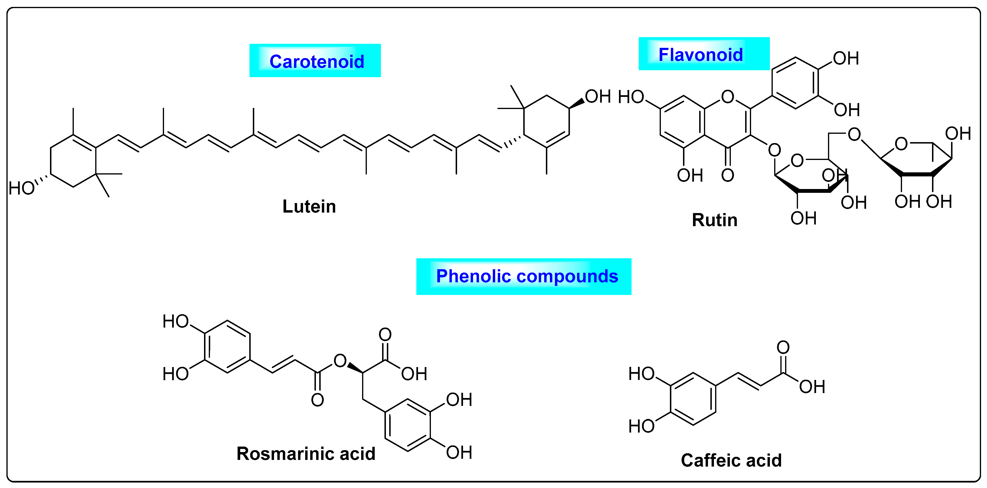 Biotech 12 00004 g008