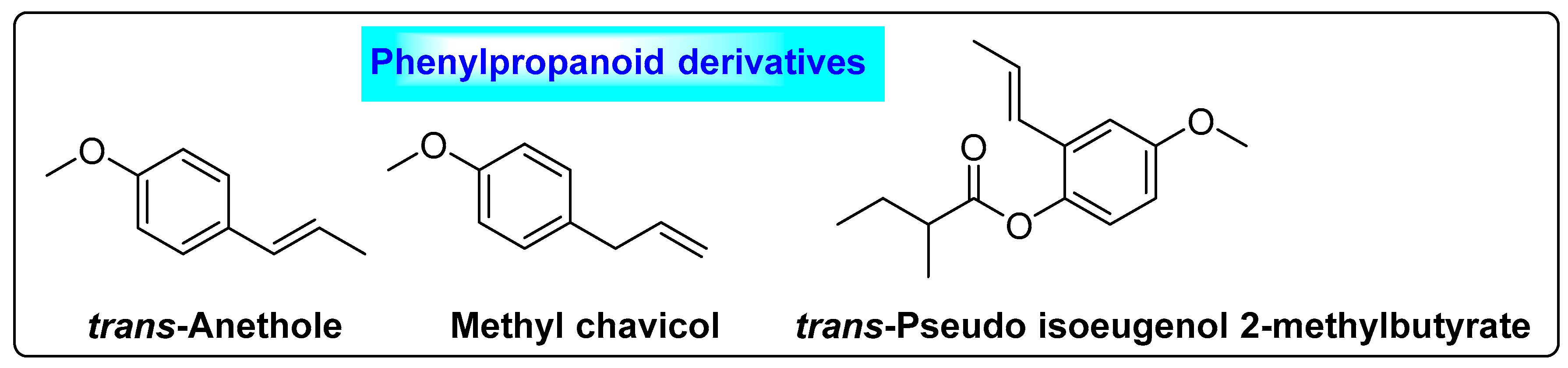 Biotech 12 00004 g016