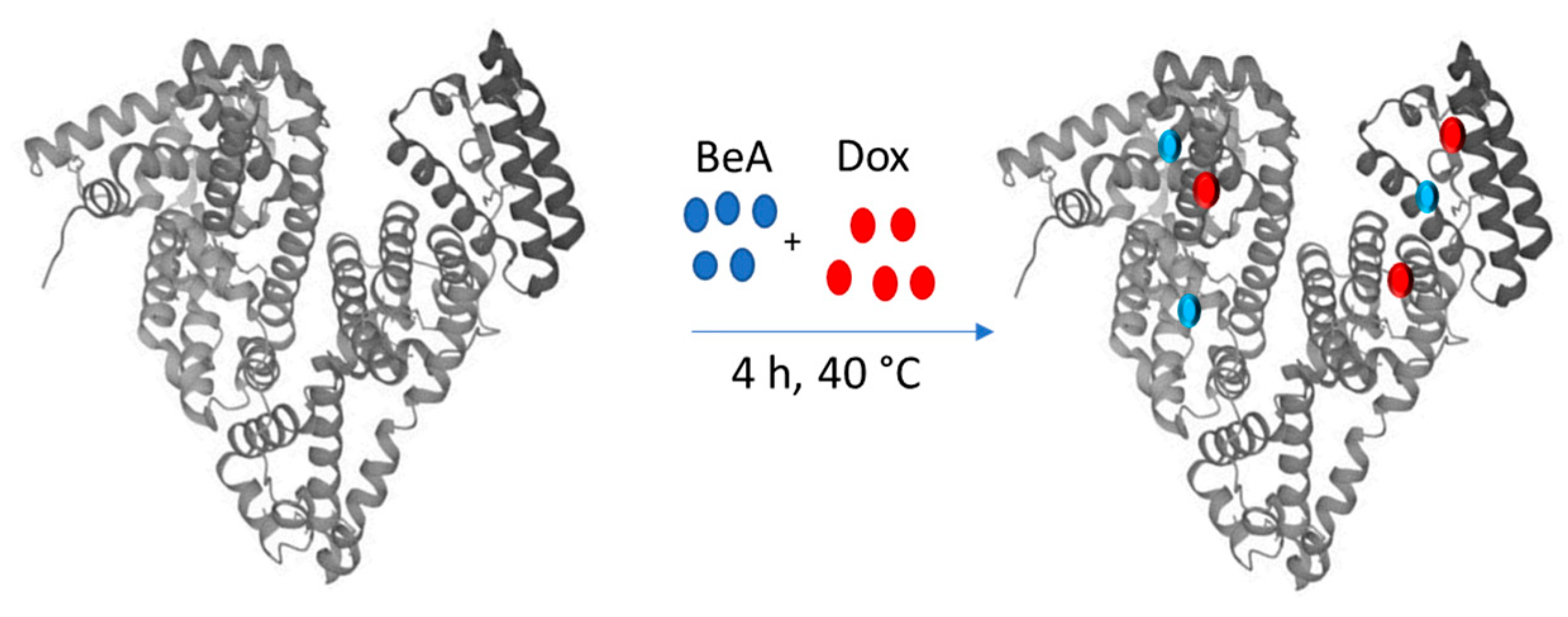 Biotech 12 00013 sch001