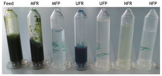 Biotech 12 00016 g003