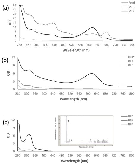 Biotech 12 00016 g004