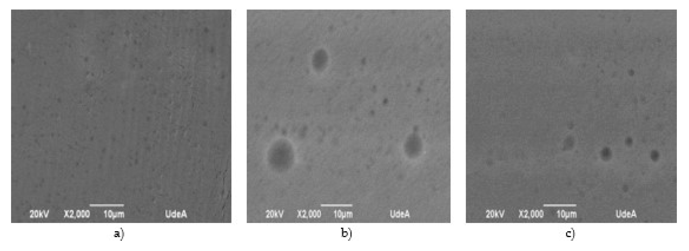 Biotech 12 00020 g005