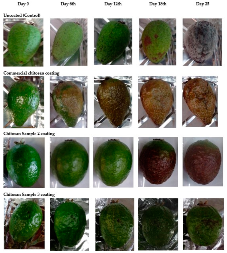Biotech 12 00020 g006