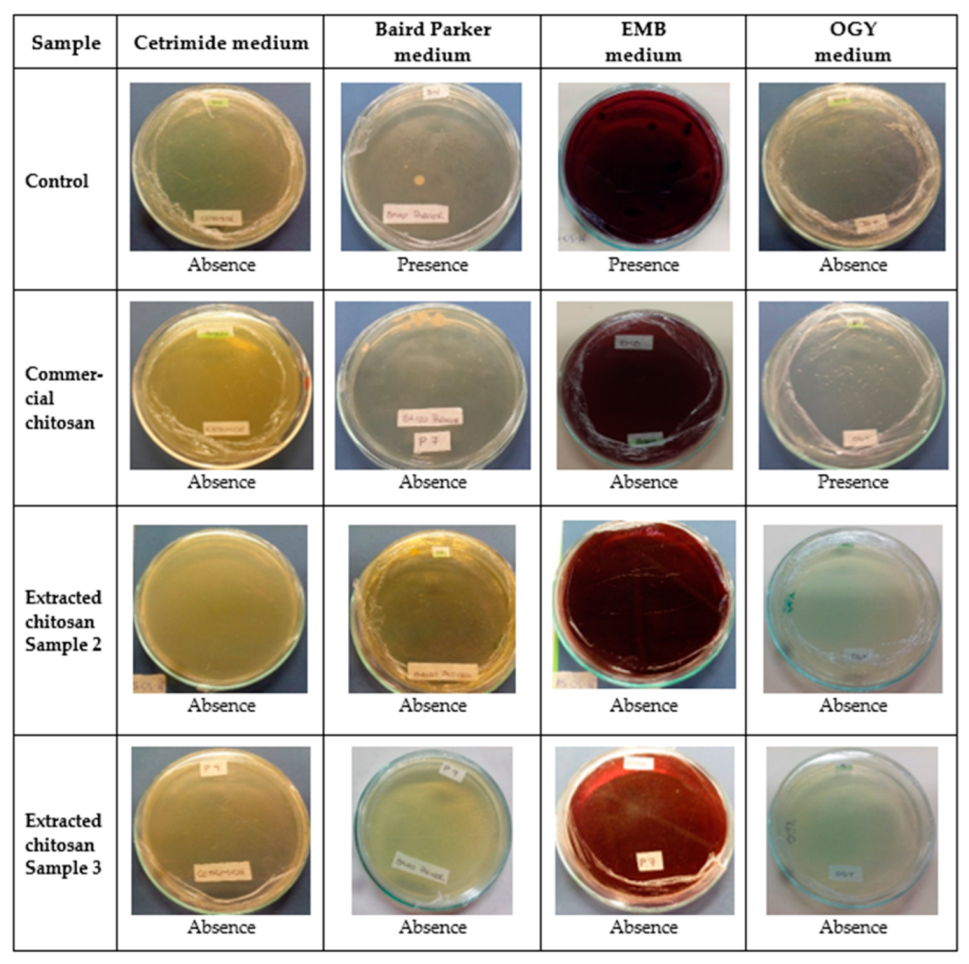 Biotech 12 00020 g007