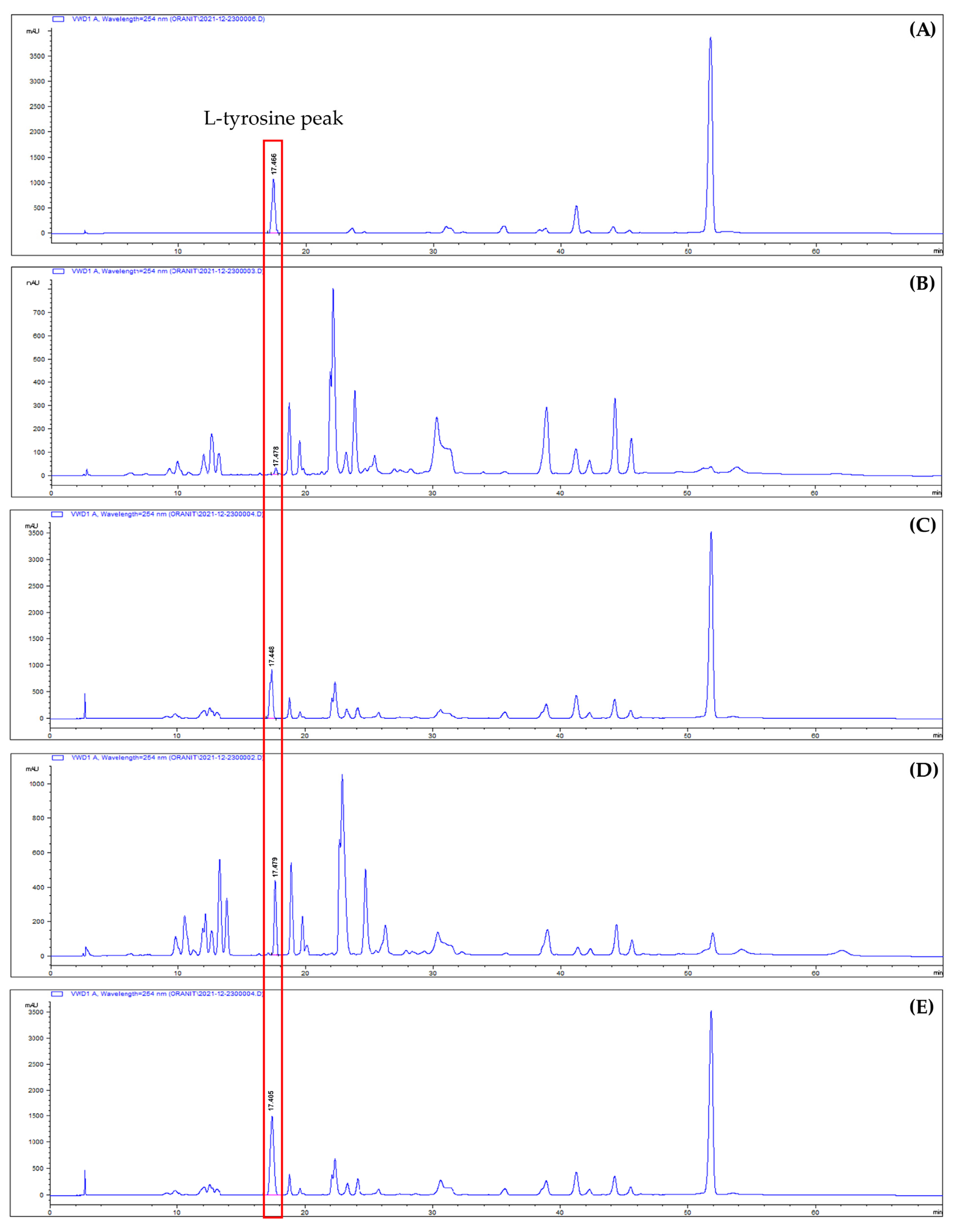 Biotech 12 00024 g002