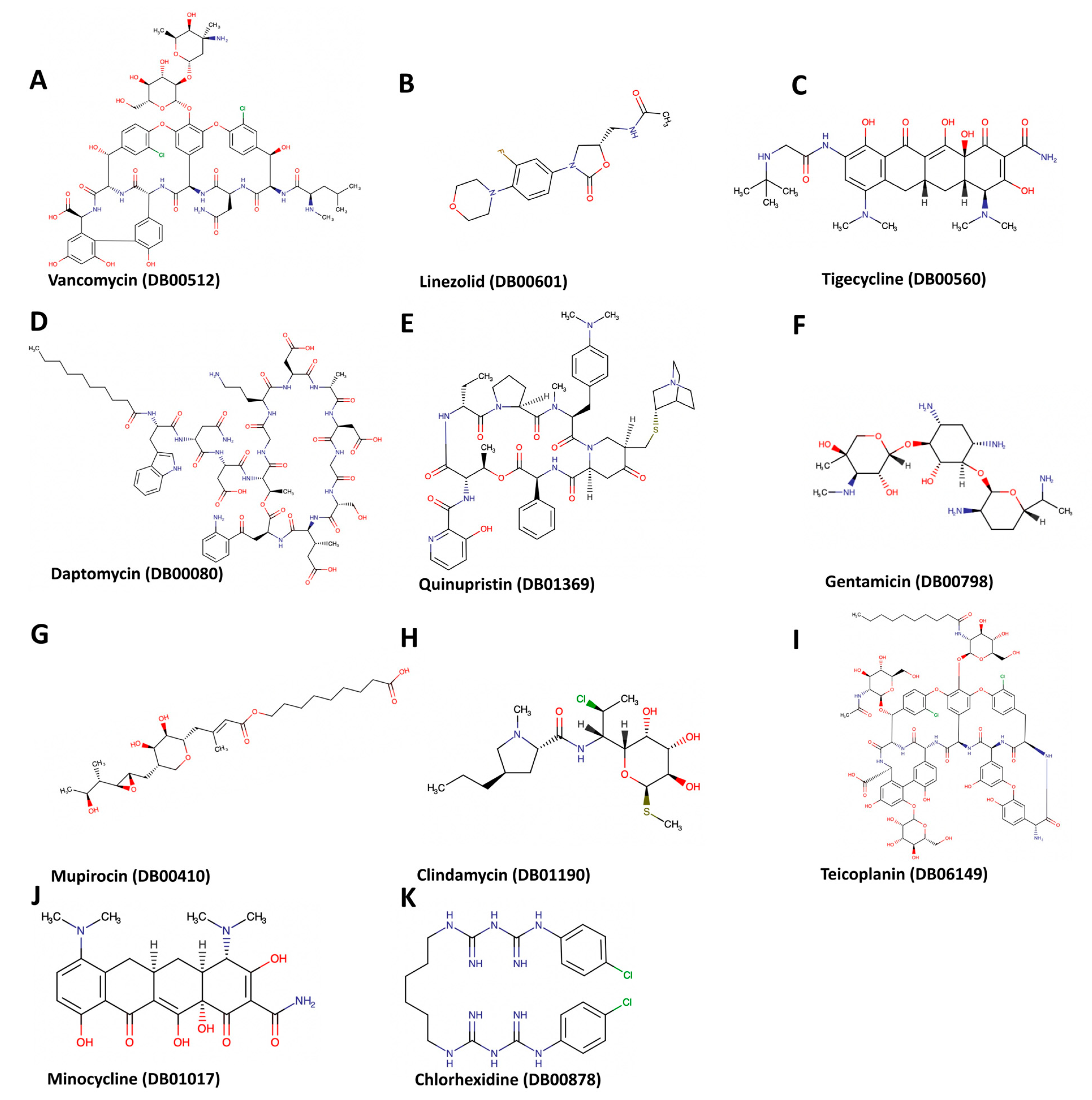 Biotech 12 00025 g004