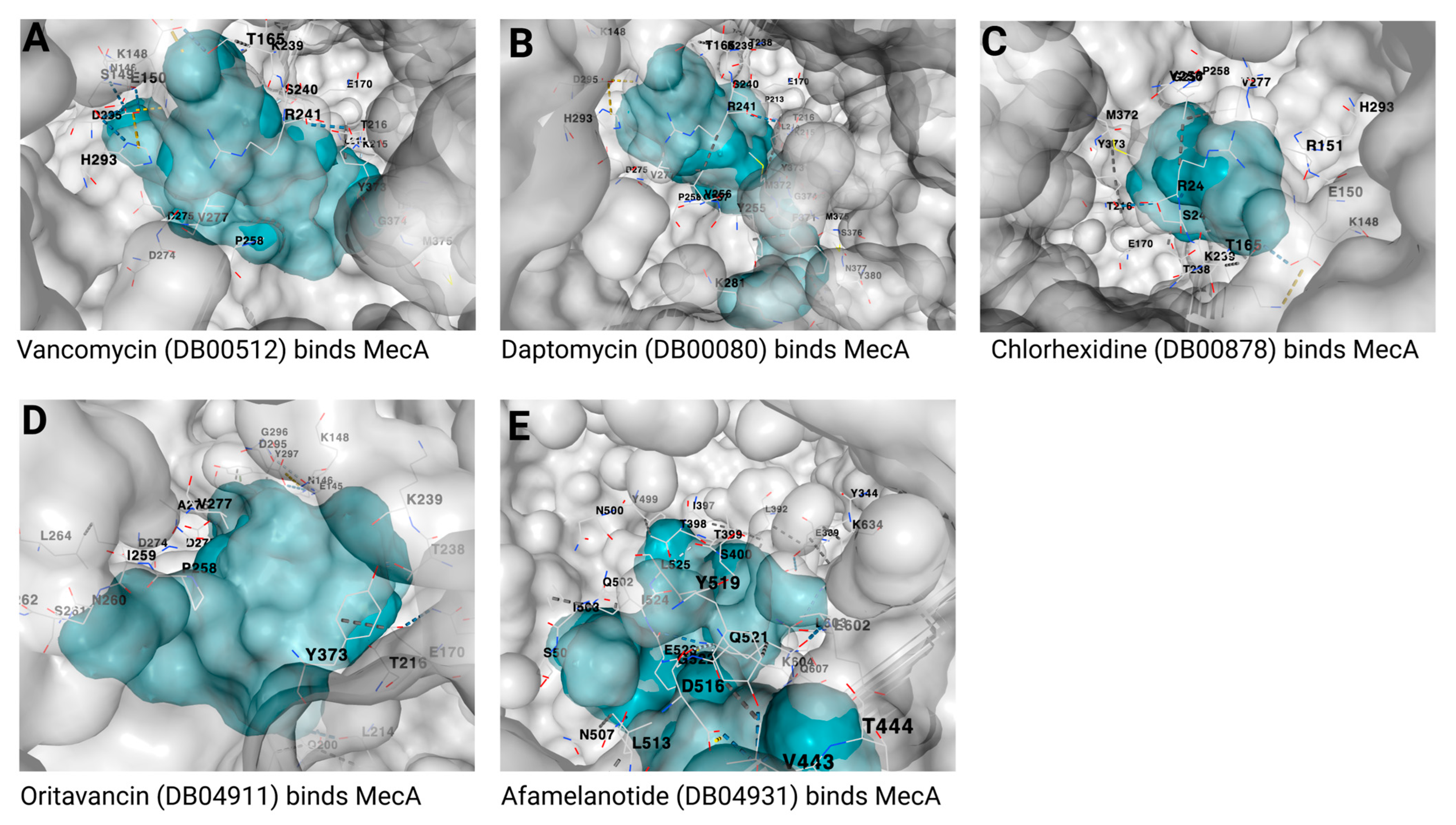Biotech 12 00025 g005