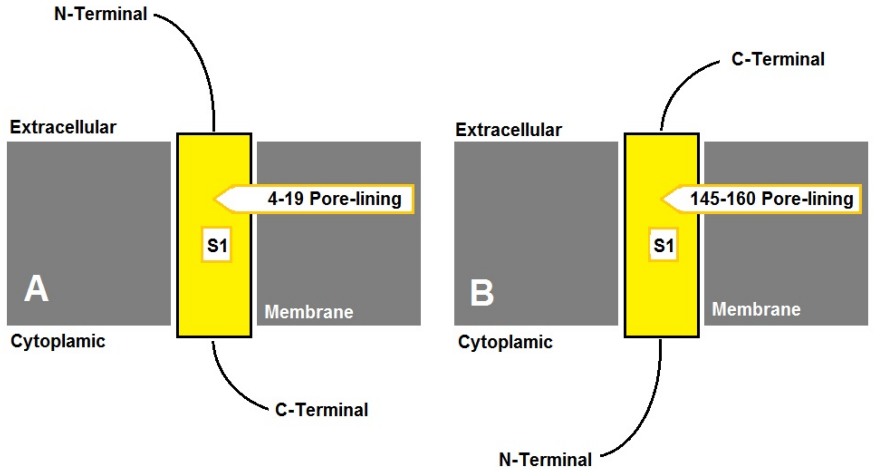 Biotech 12 00027 g002