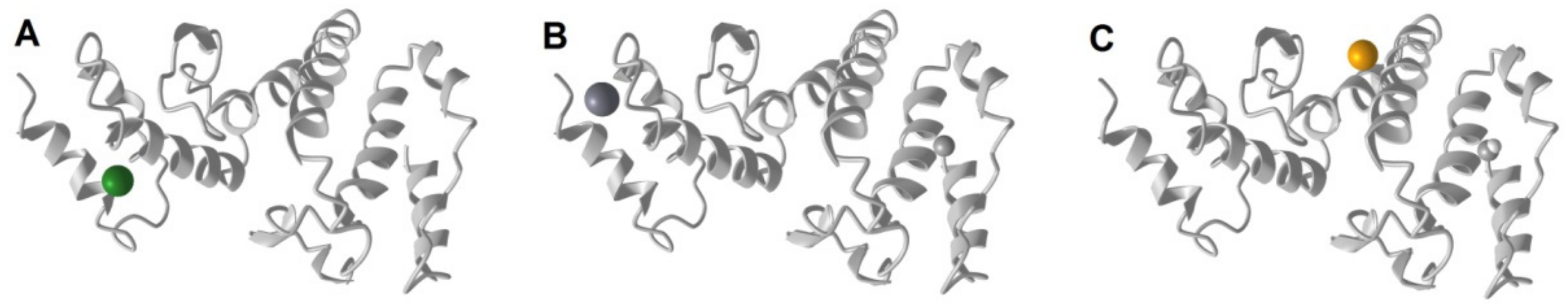 Biotech 12 00027 g004