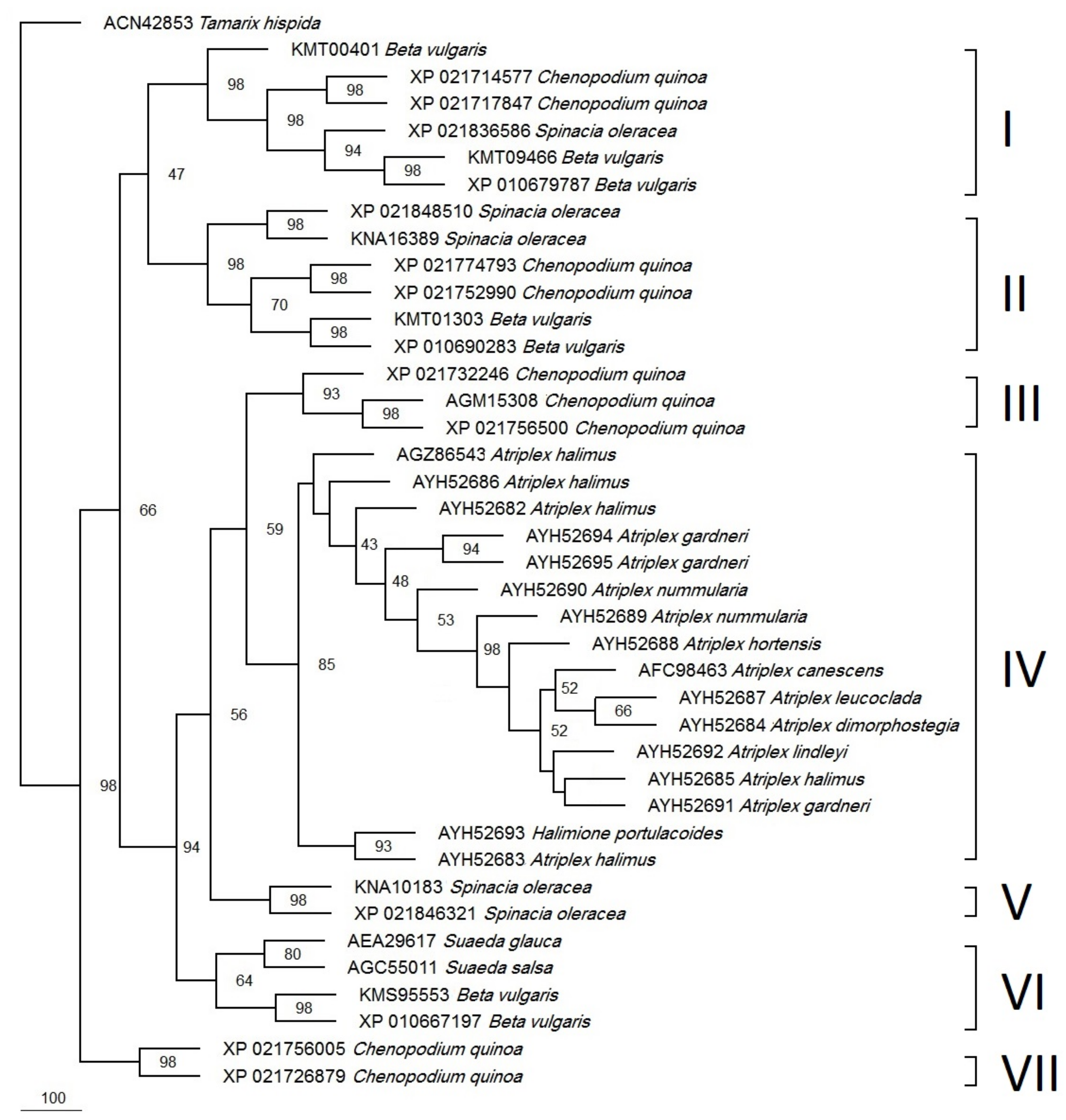 Biotech 12 00027 g005