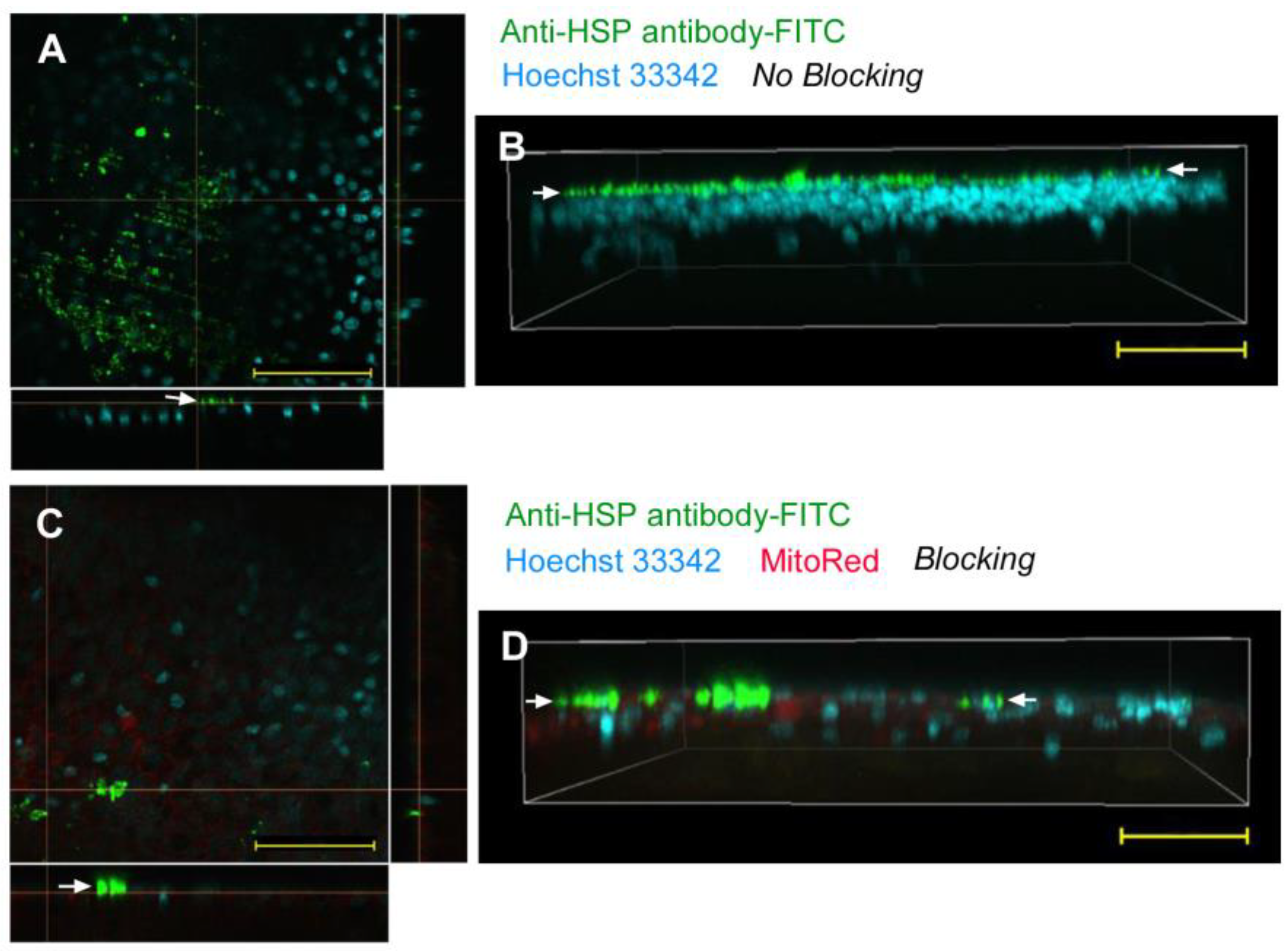 Biotech 12 00028 g002