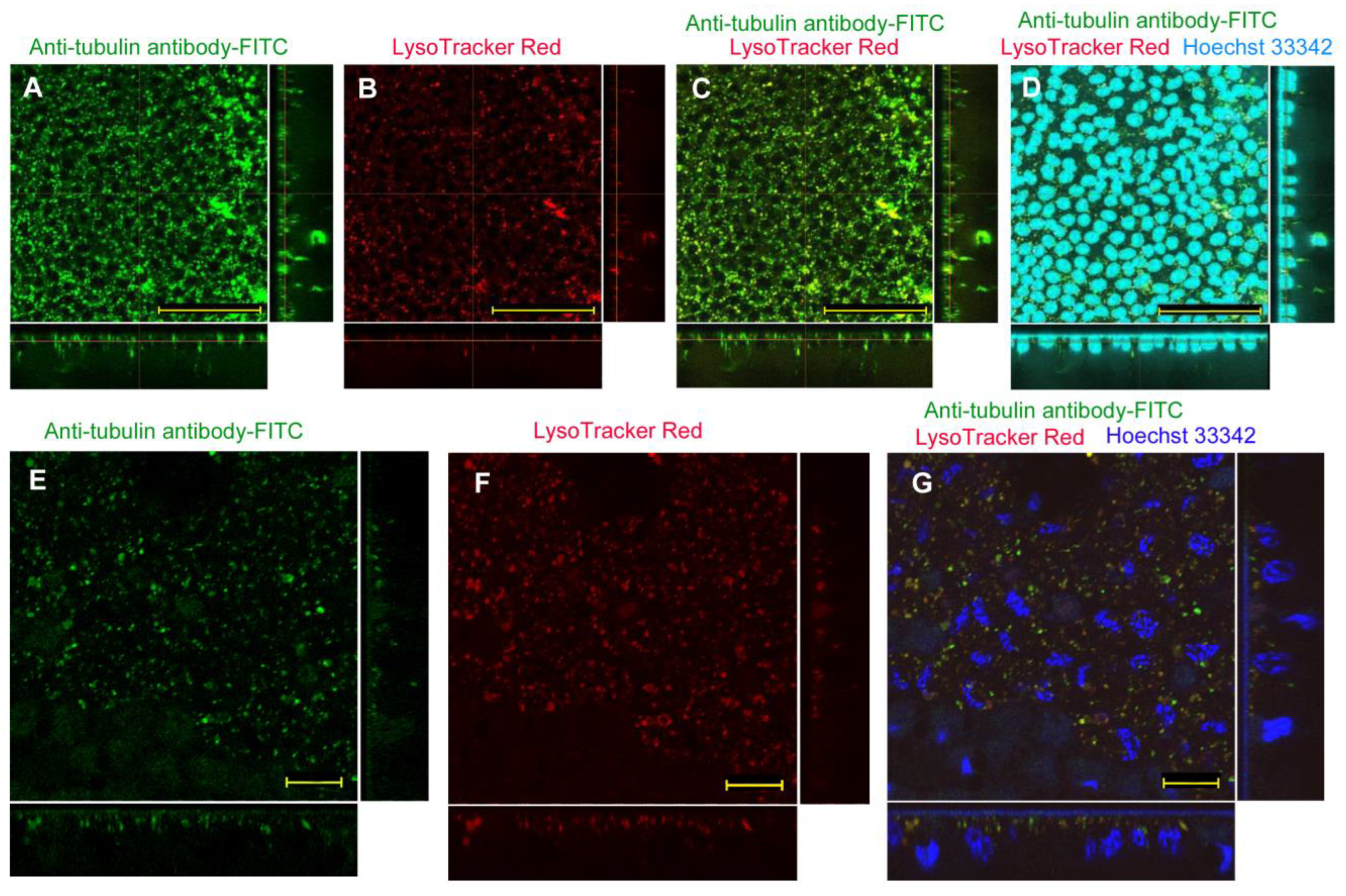 Biotech 12 00028 g008
