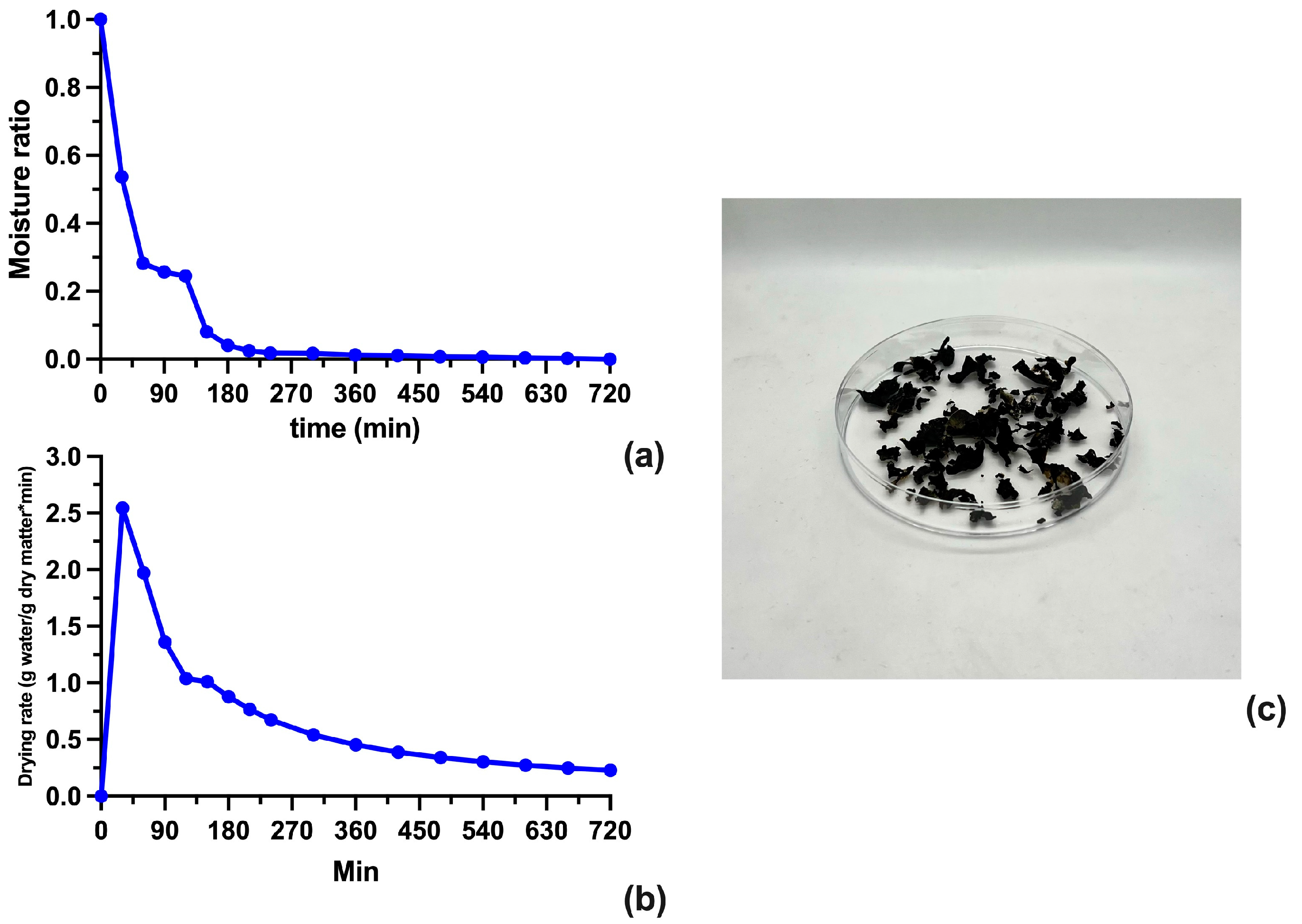 Biotech 12 00030 g003