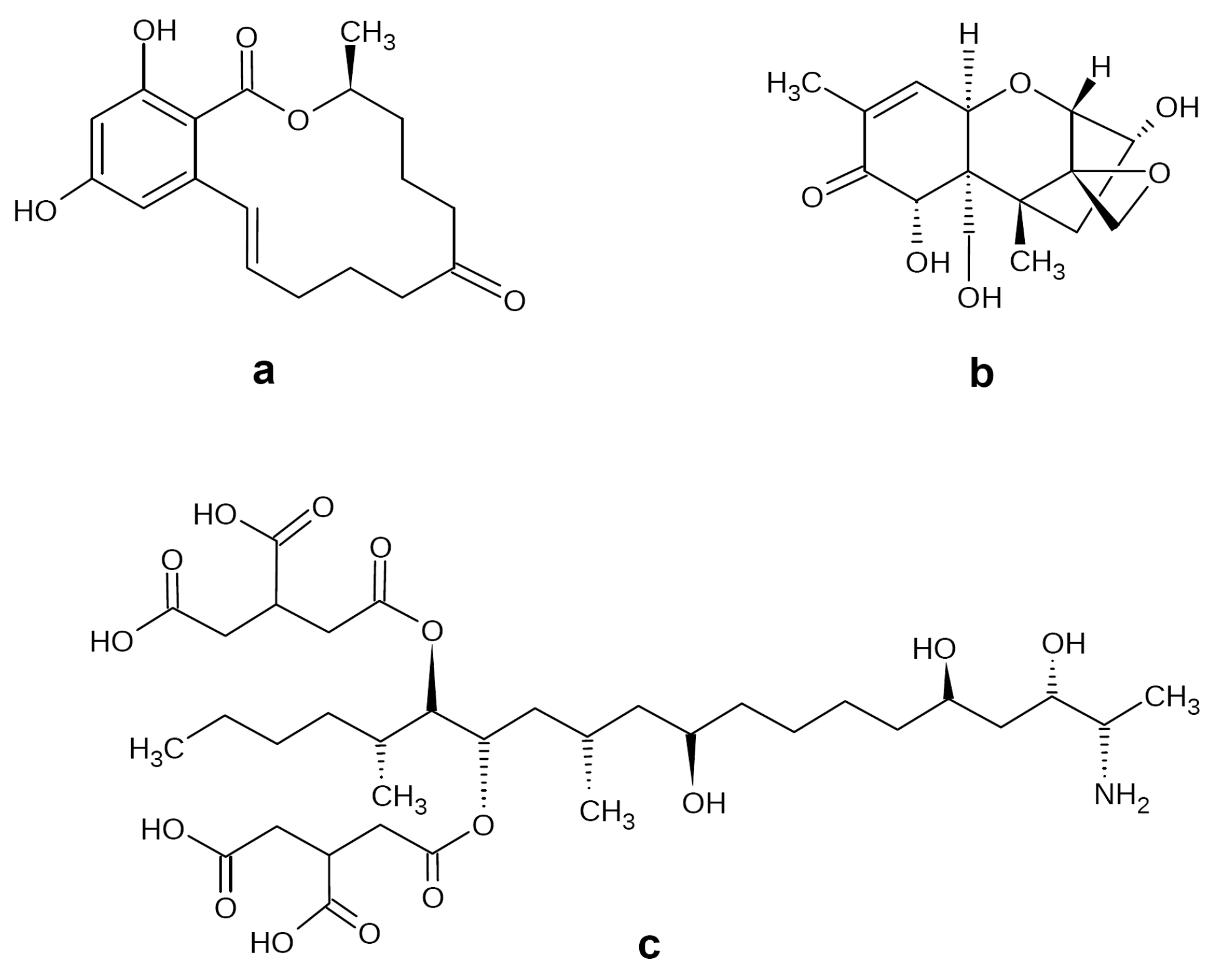 Biotech 12 00032 g001