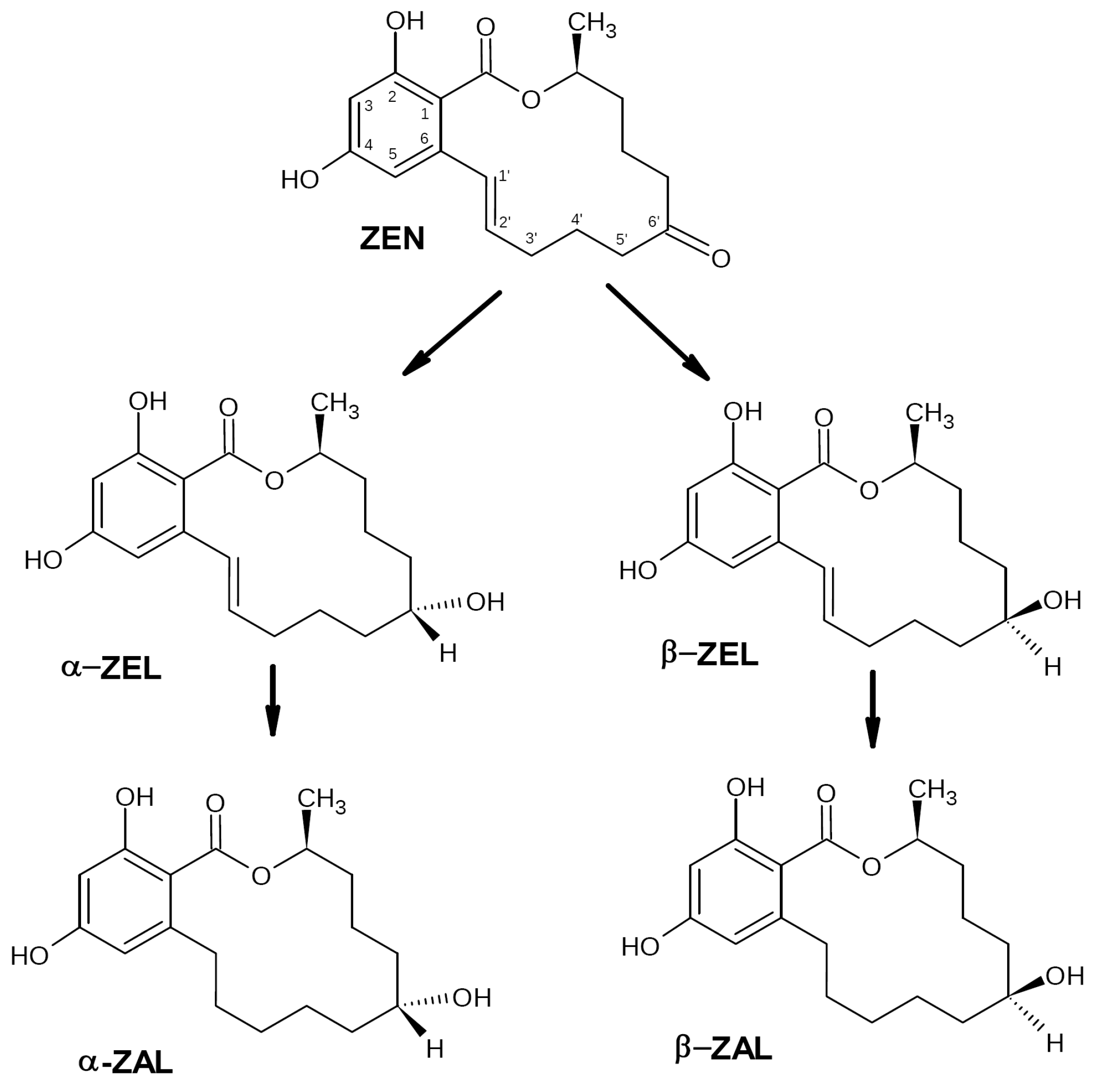 Biotech 12 00032 g002