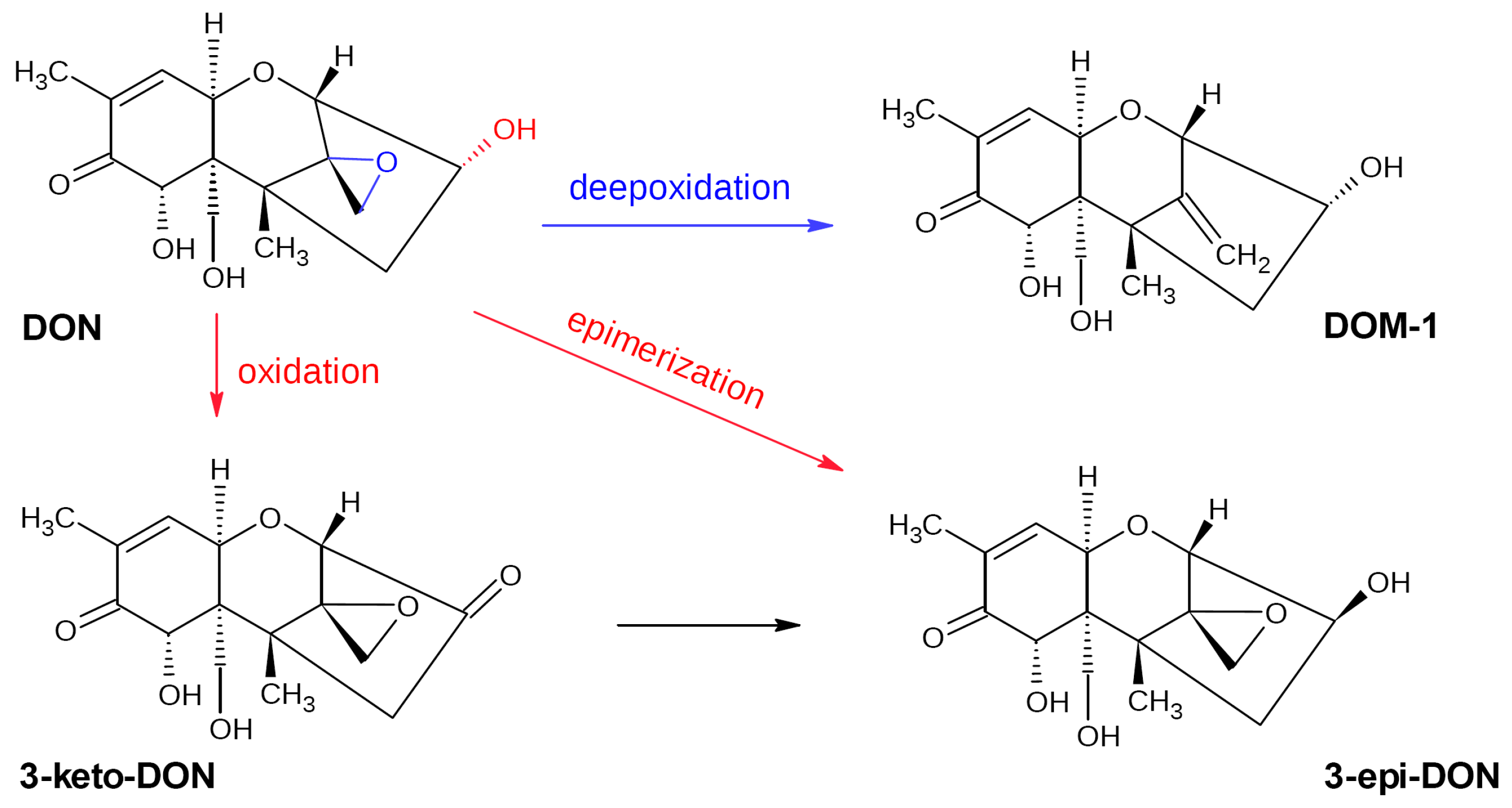 Biotech 12 00032 g004