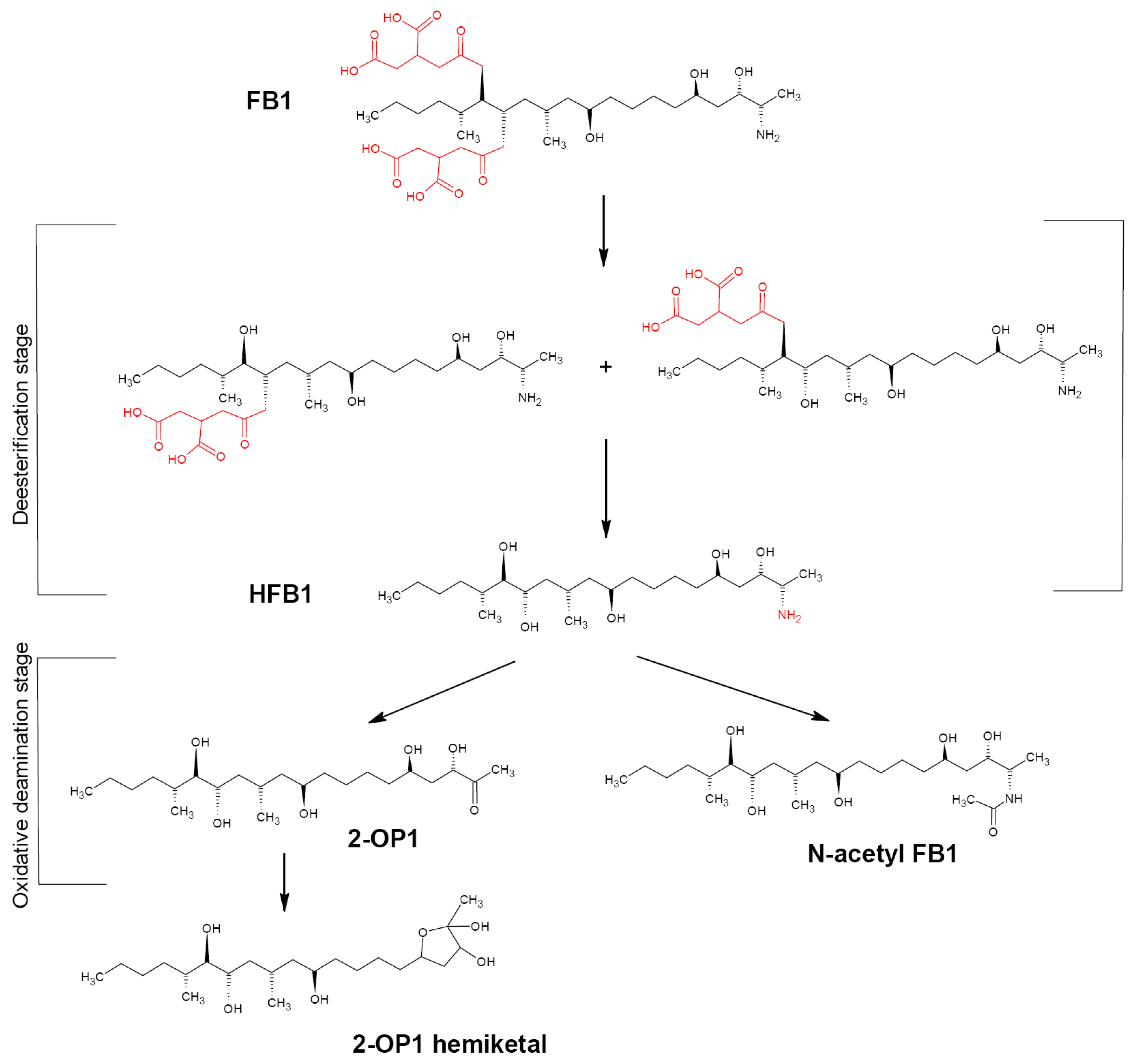 Biotech 12 00032 g005