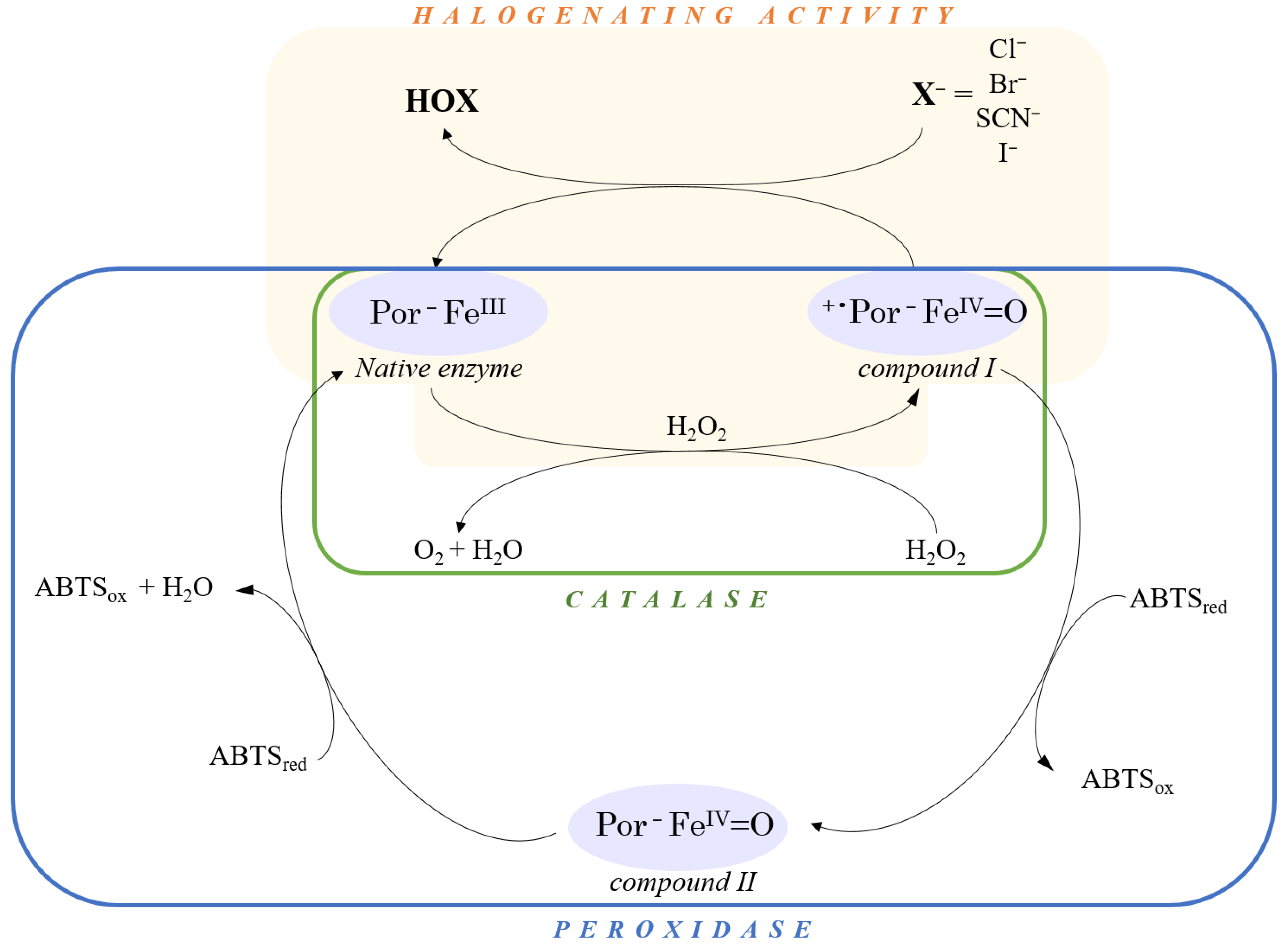 Biotech 12 00033 sch001