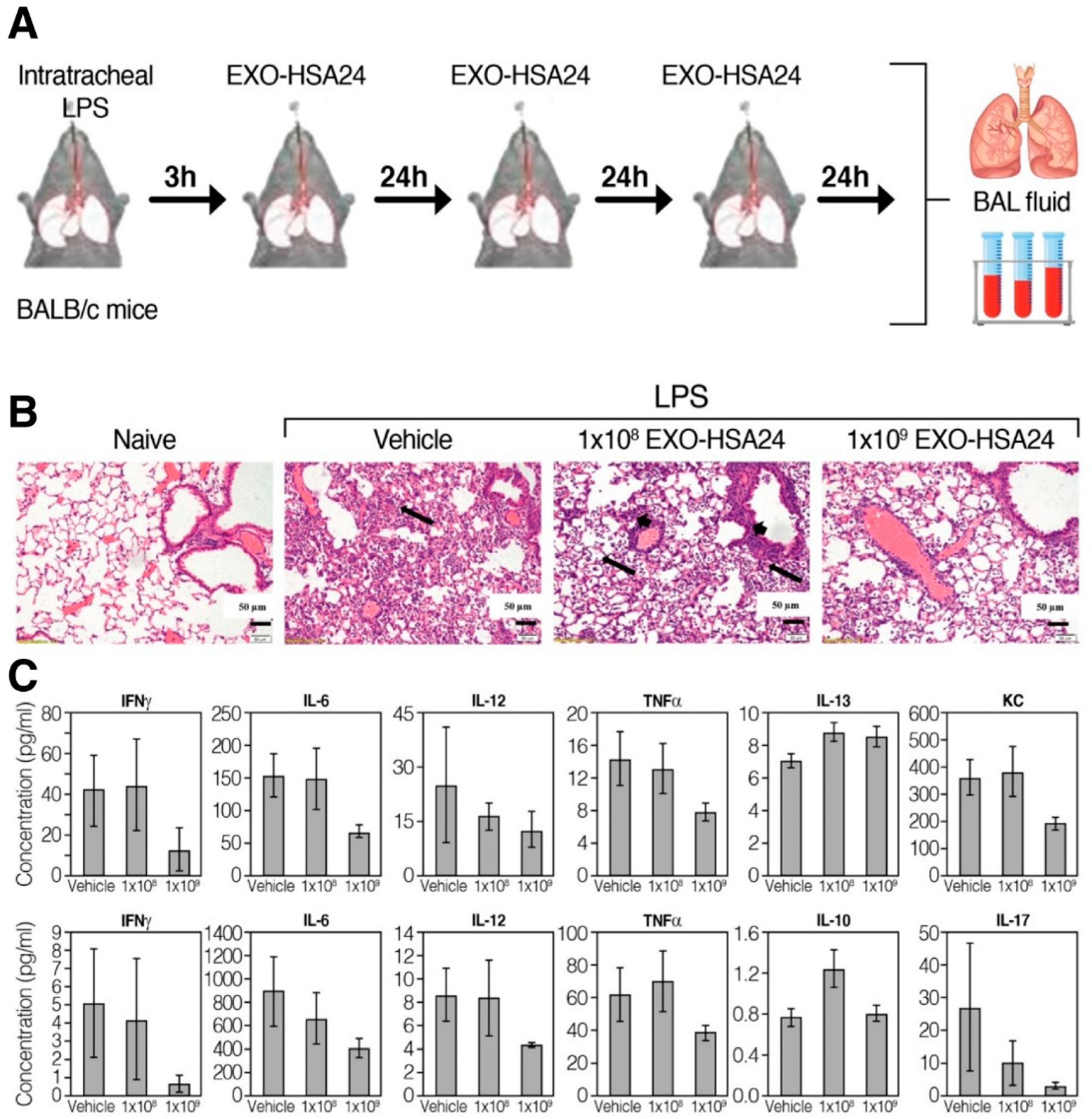 Biotech 12 00034 g006