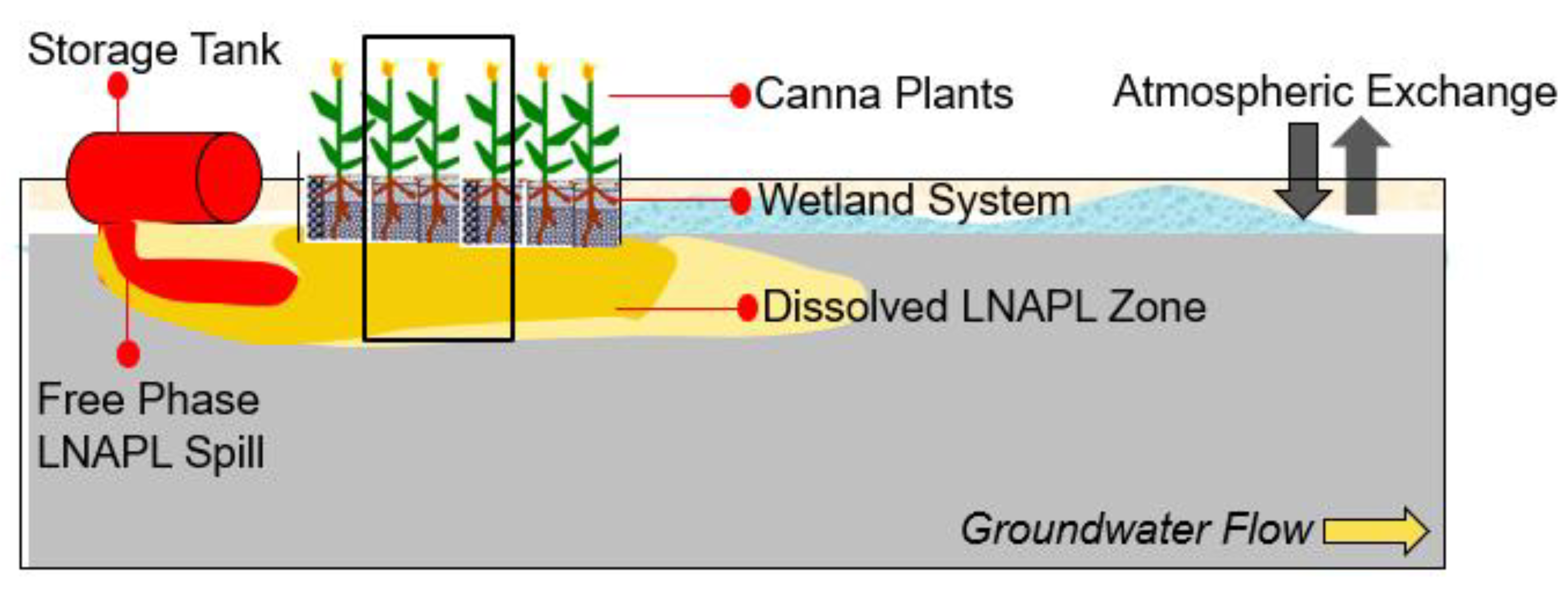 Biotech 12 00036 g003
