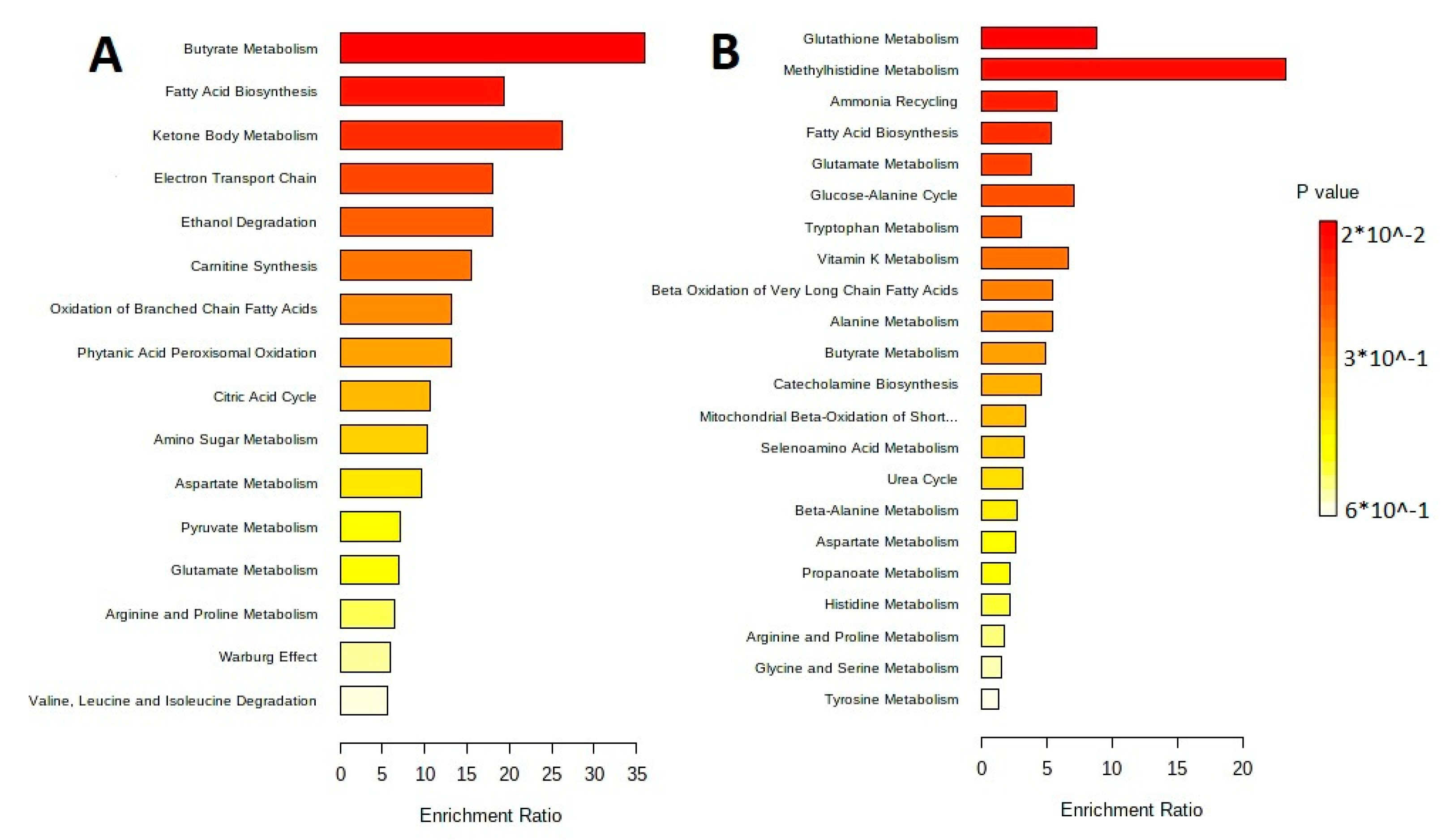 Biotech 12 00039 g003