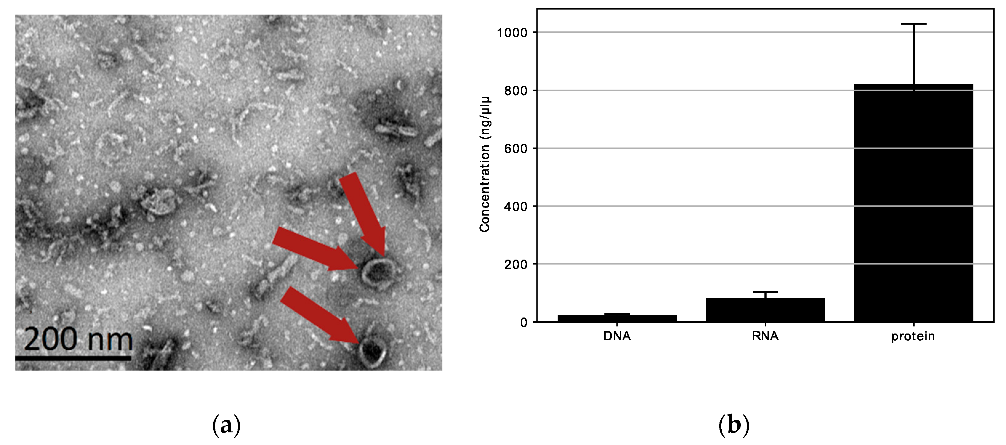 Biotech 12 00039 g004