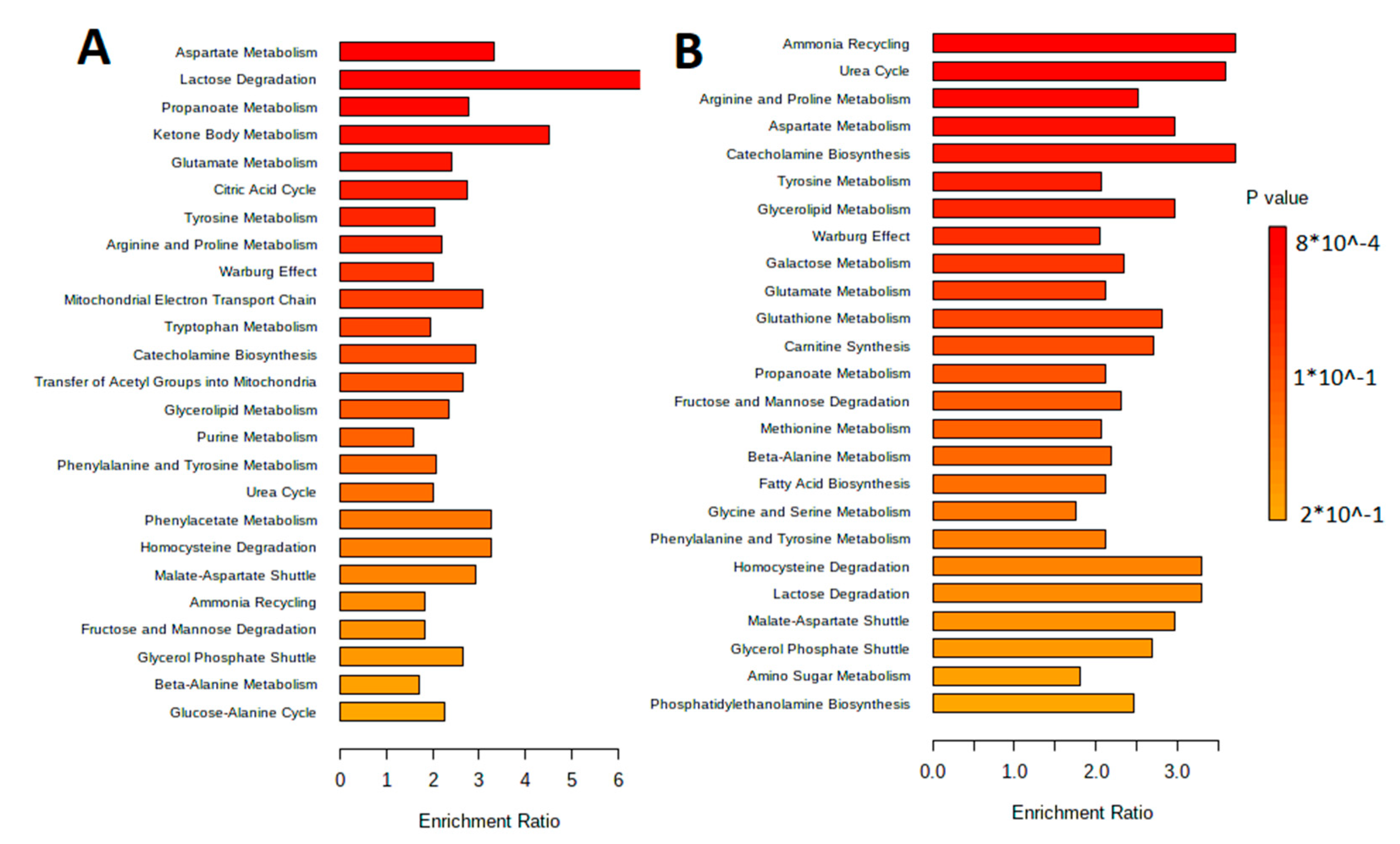 Biotech 12 00039 g006