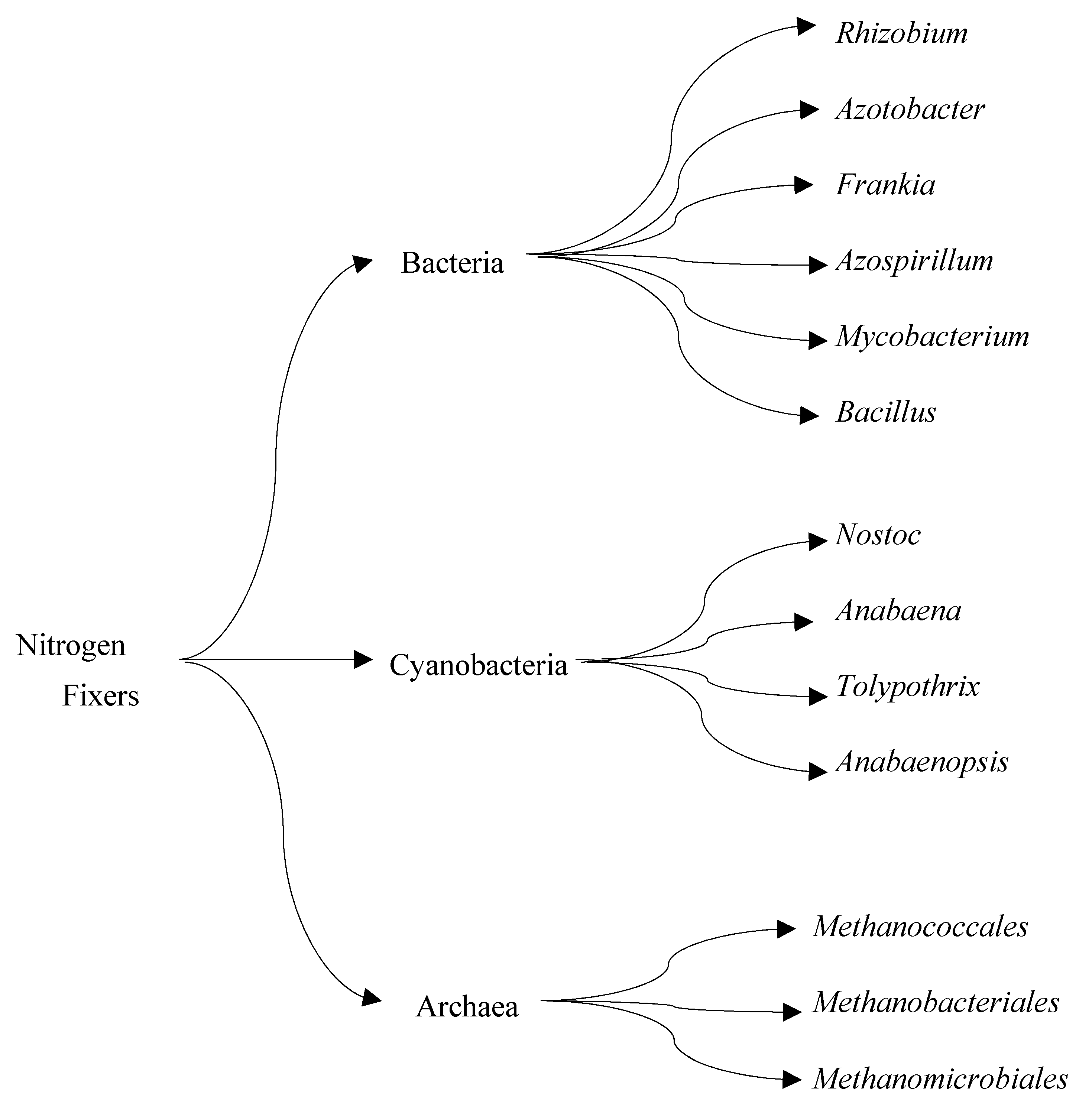 Biotech 12 00041 g003 Biotech 12 00041 g003