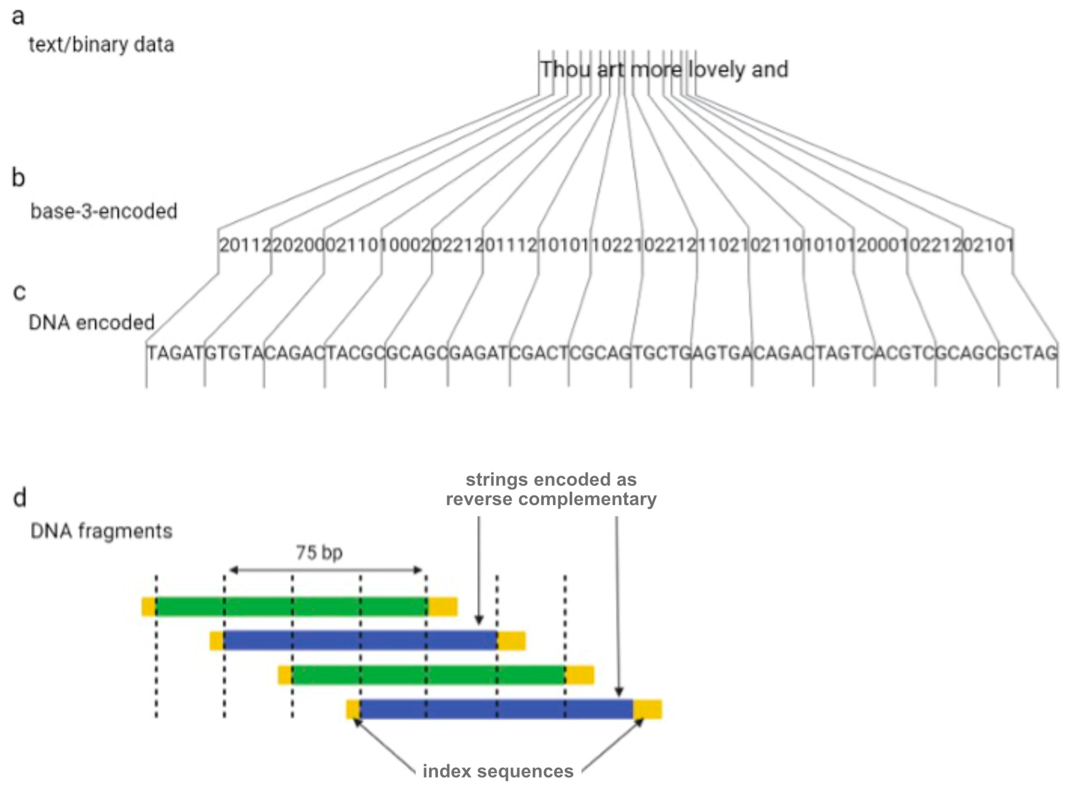 Biotech 12 00044 g002