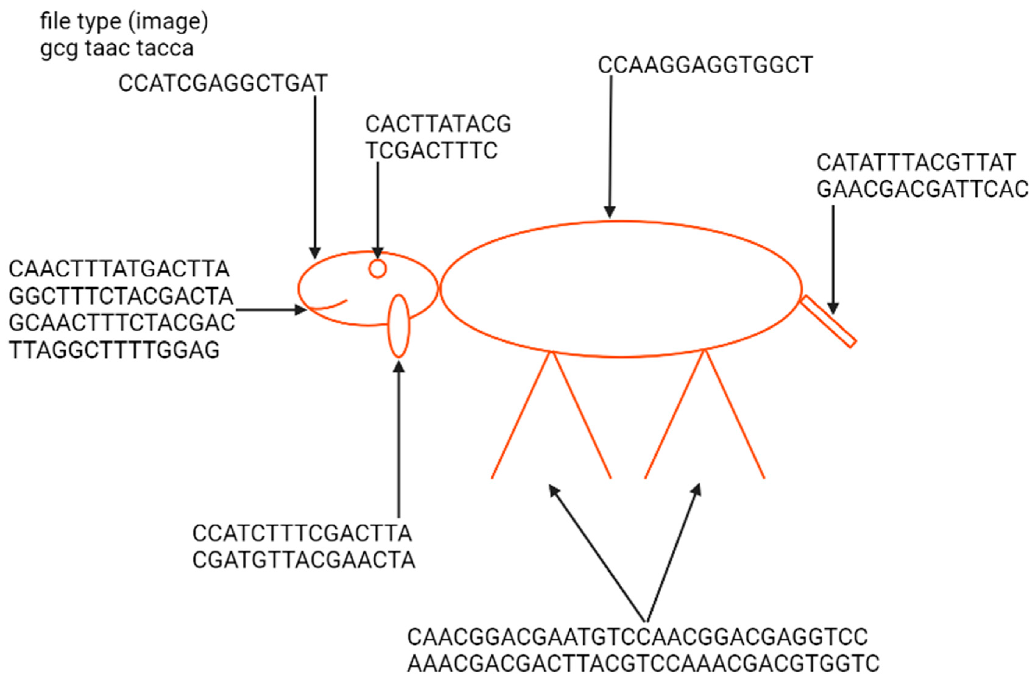 Biotech 12 00044 g004