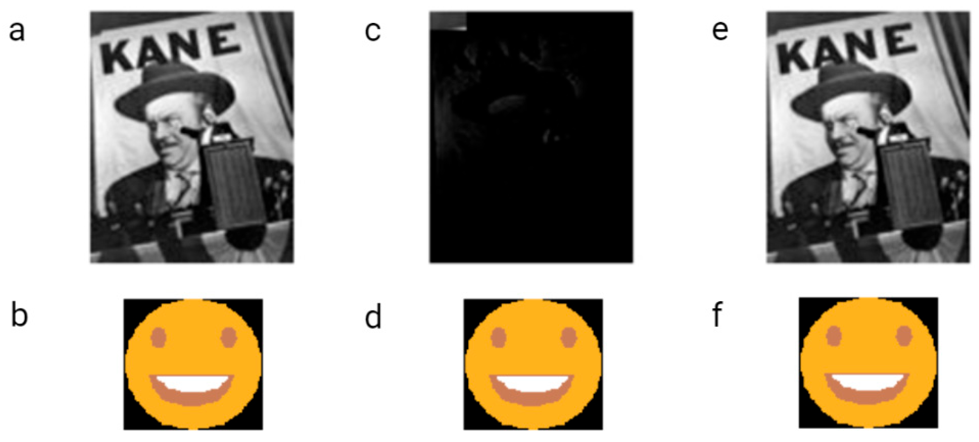 Biotech 12 00044 g005