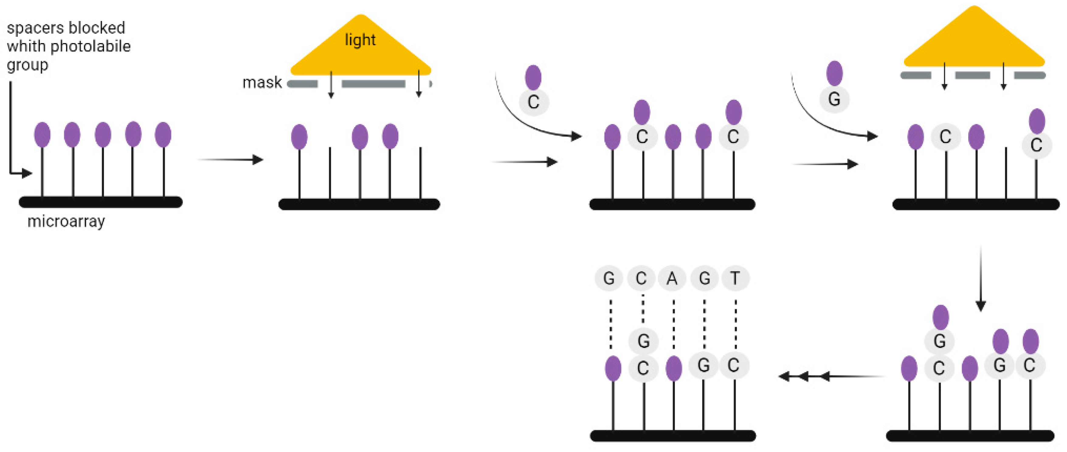 Biotech 12 00044 g006
