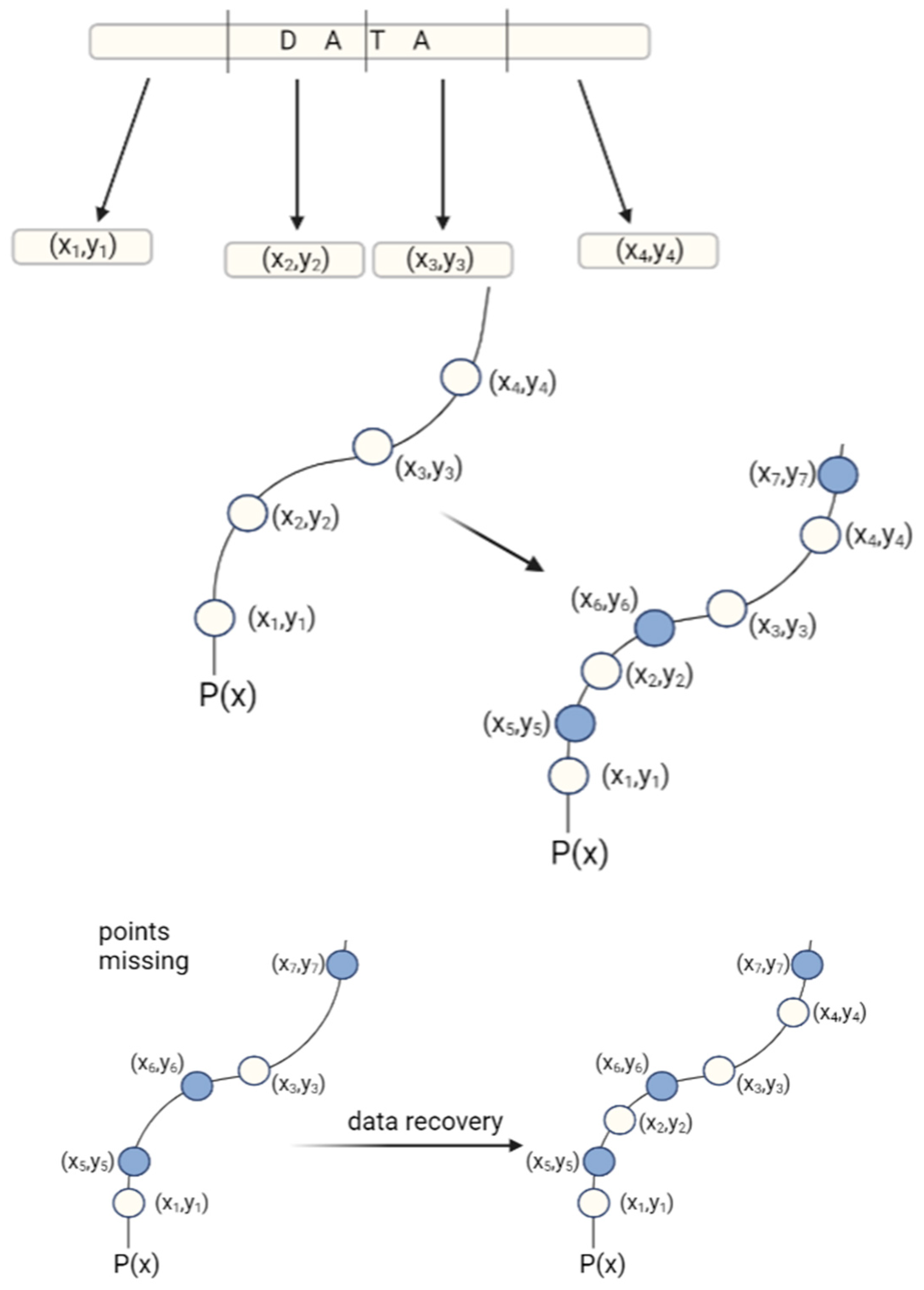 Biotech 12 00044 g007