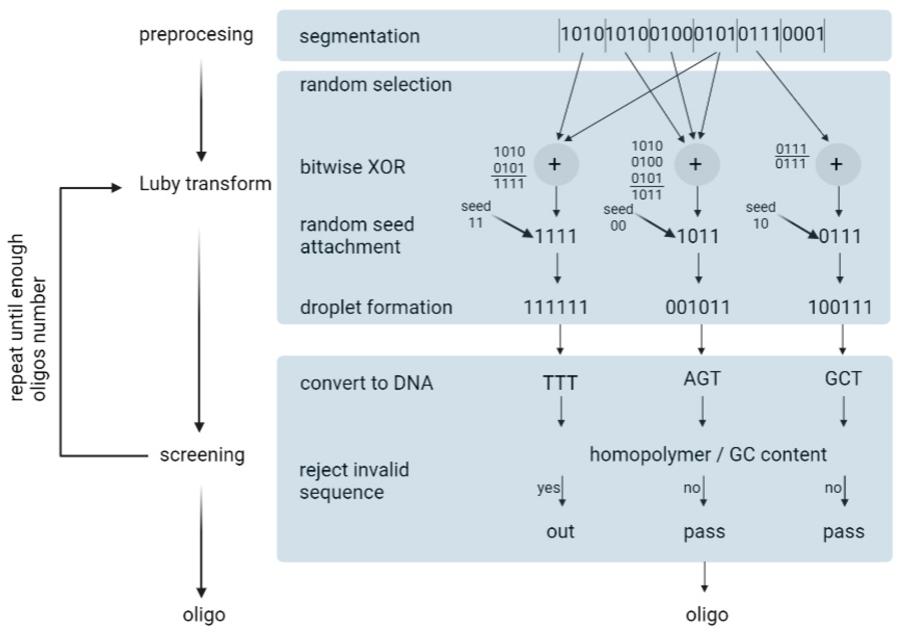 Biotech 12 00044 g008
