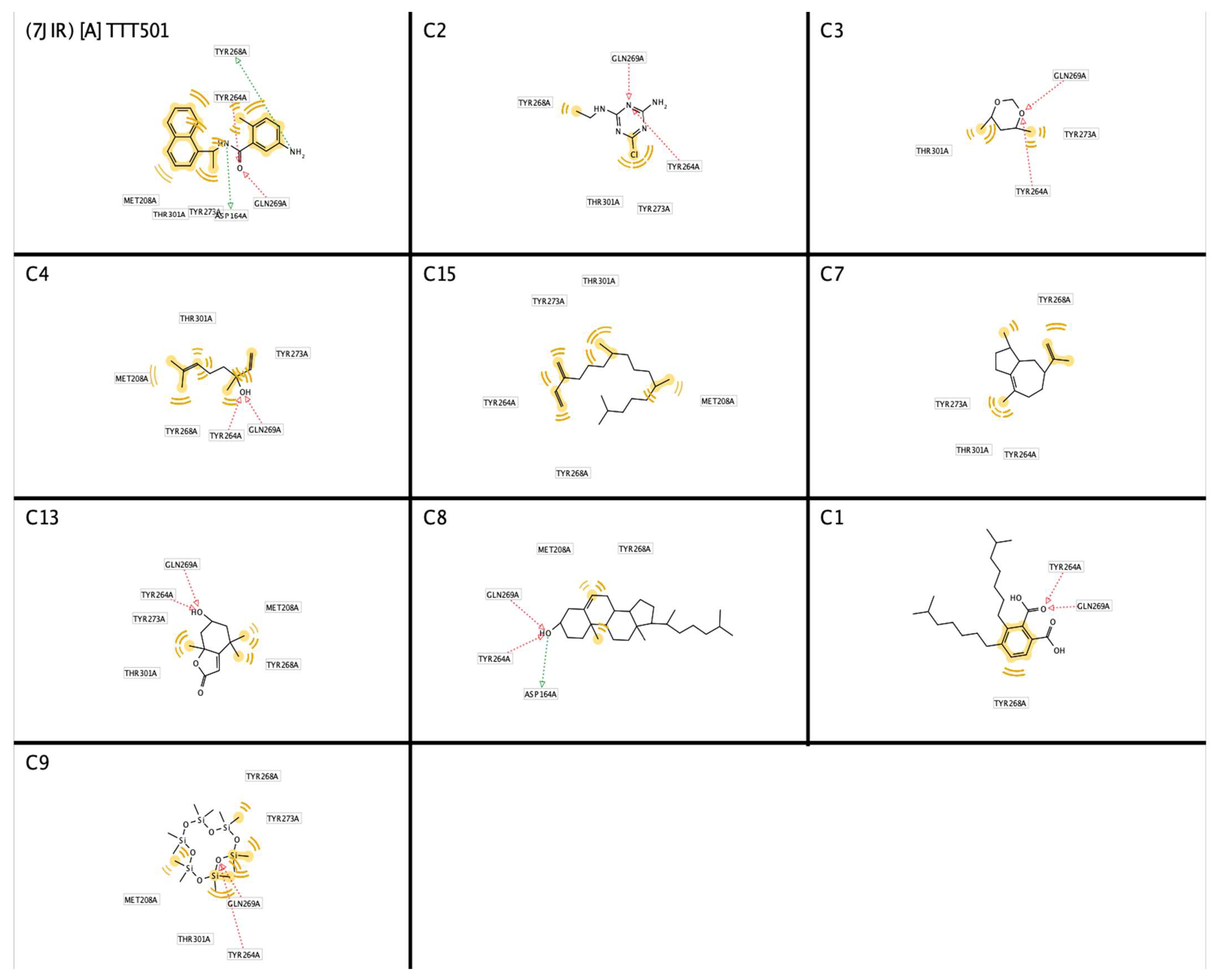 Biotech 12 00046 g004