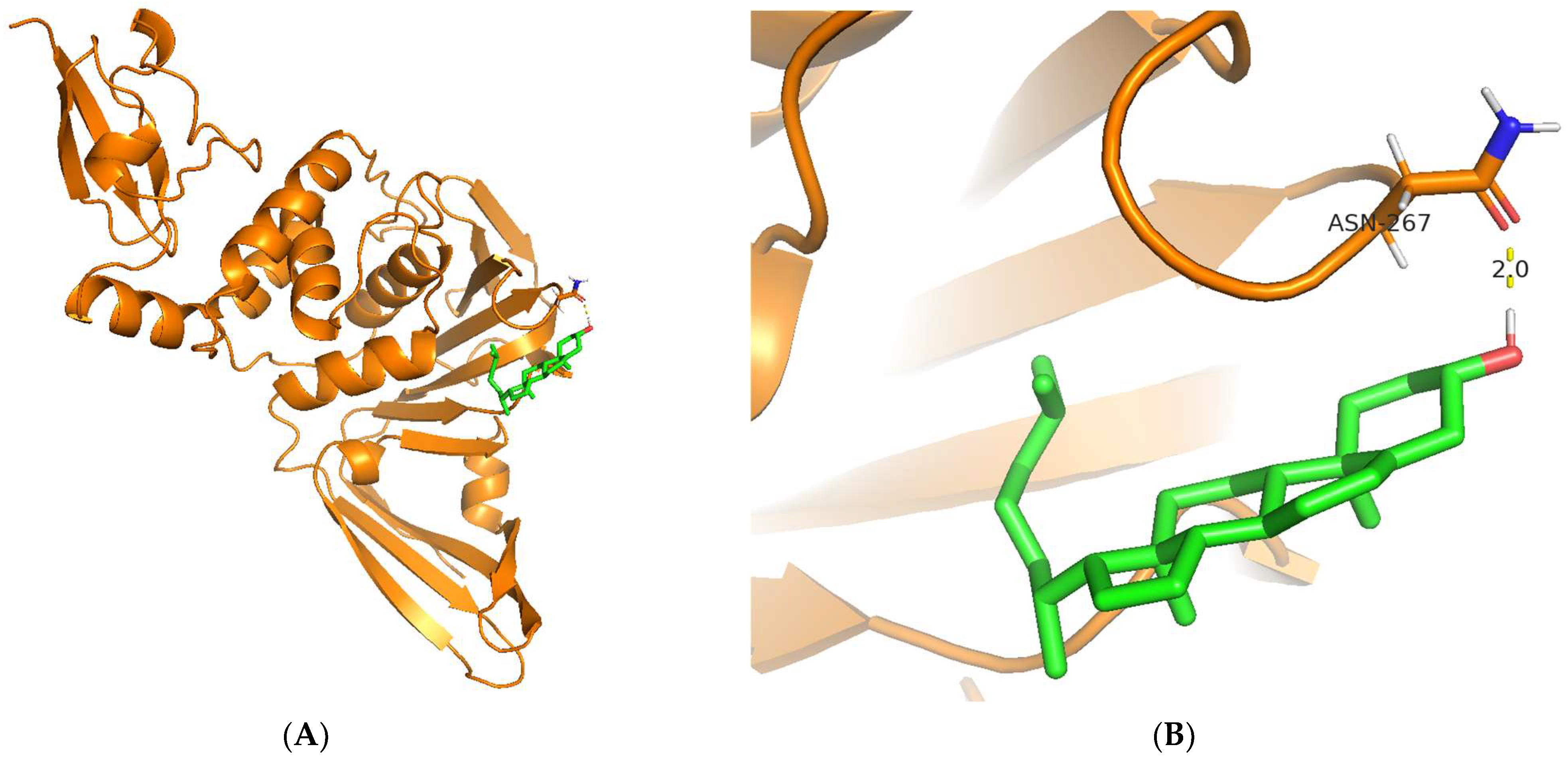 Biotech 12 00046 g005a