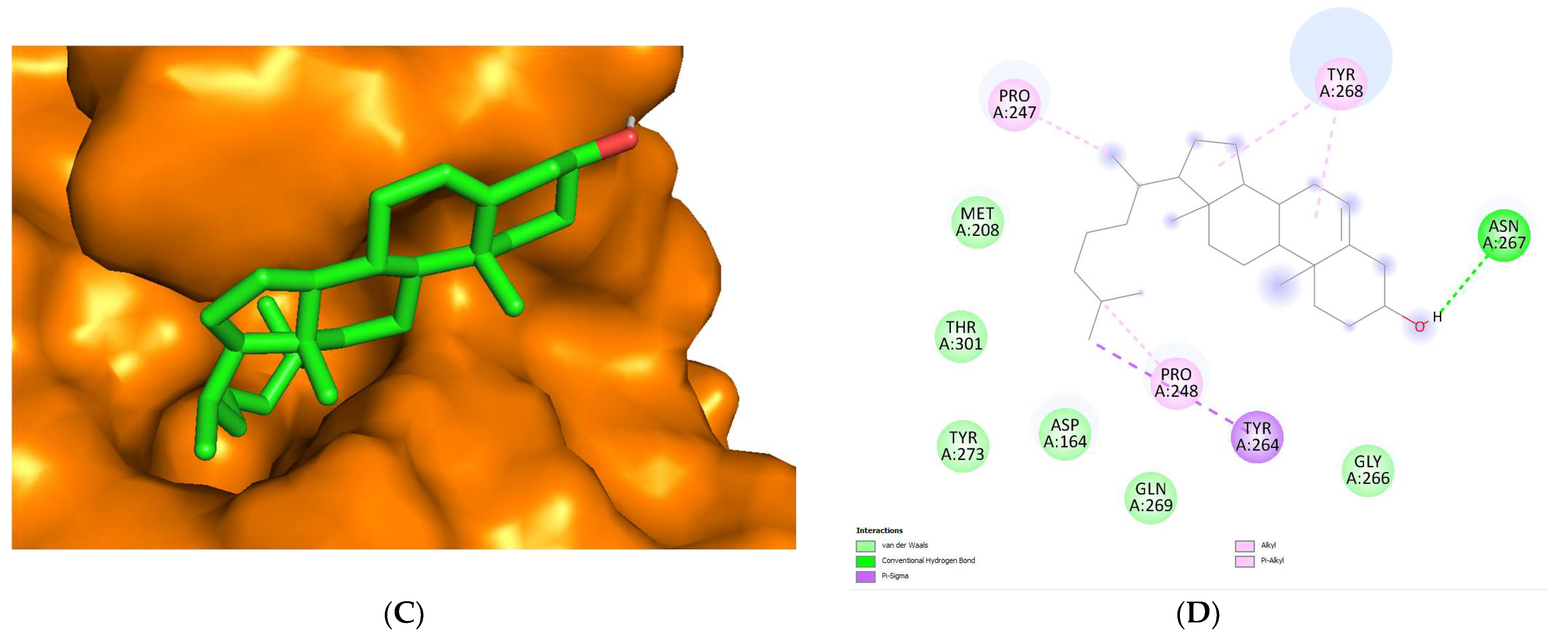 Biotech 12 00046 g005b