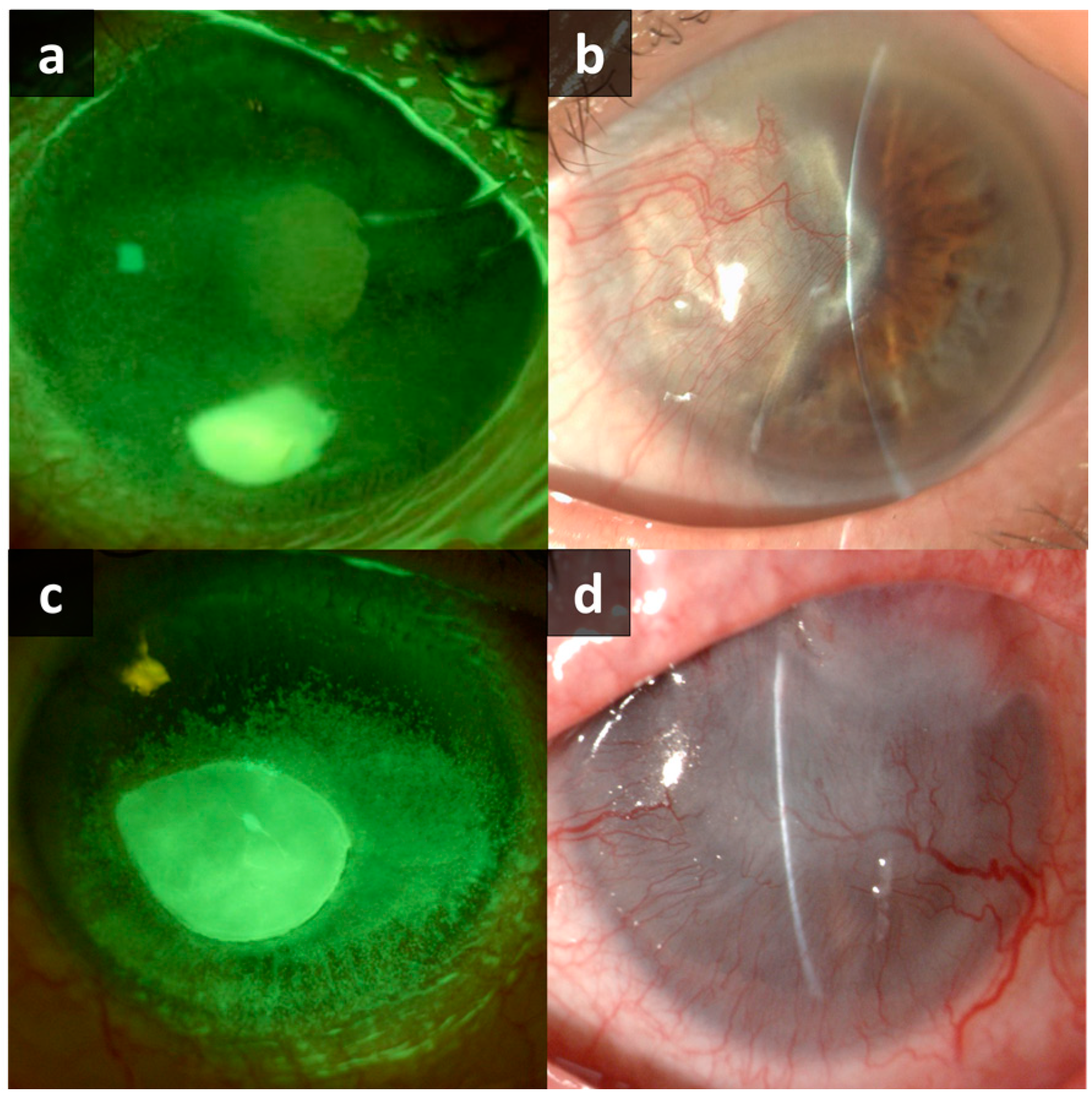 Biotech 12 00048 g001