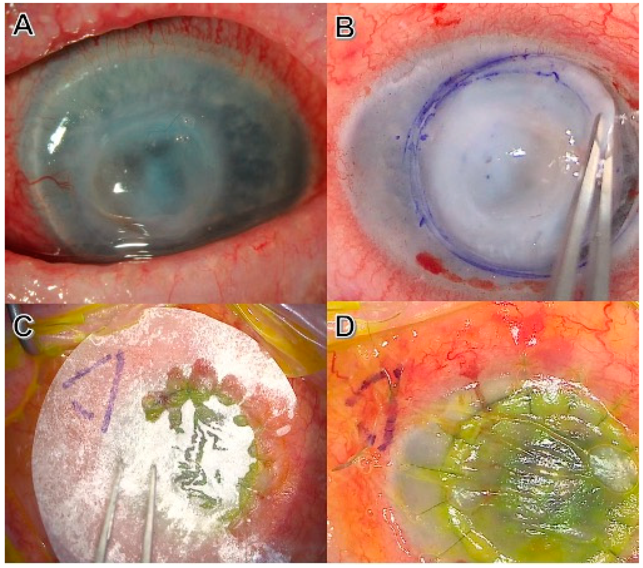 Biotech 12 00048 g002