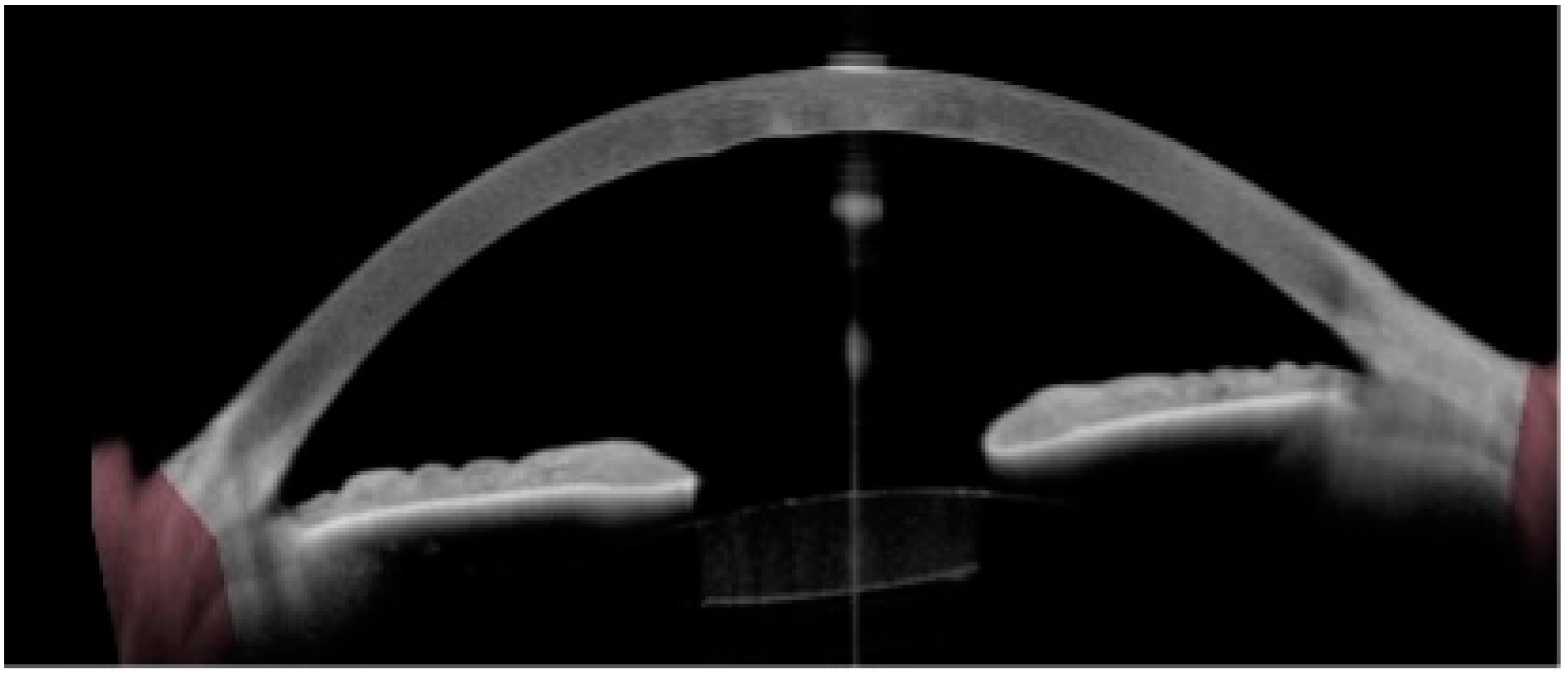 Biotech 12 00048 g005