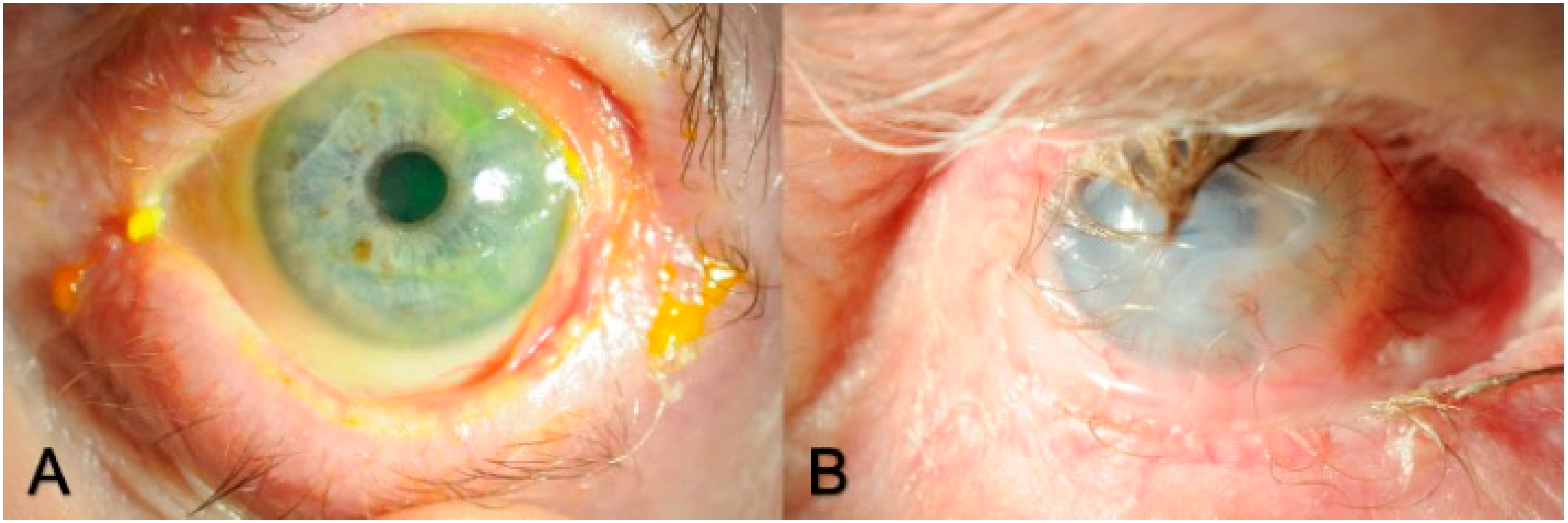 Biotech 12 00048 g006