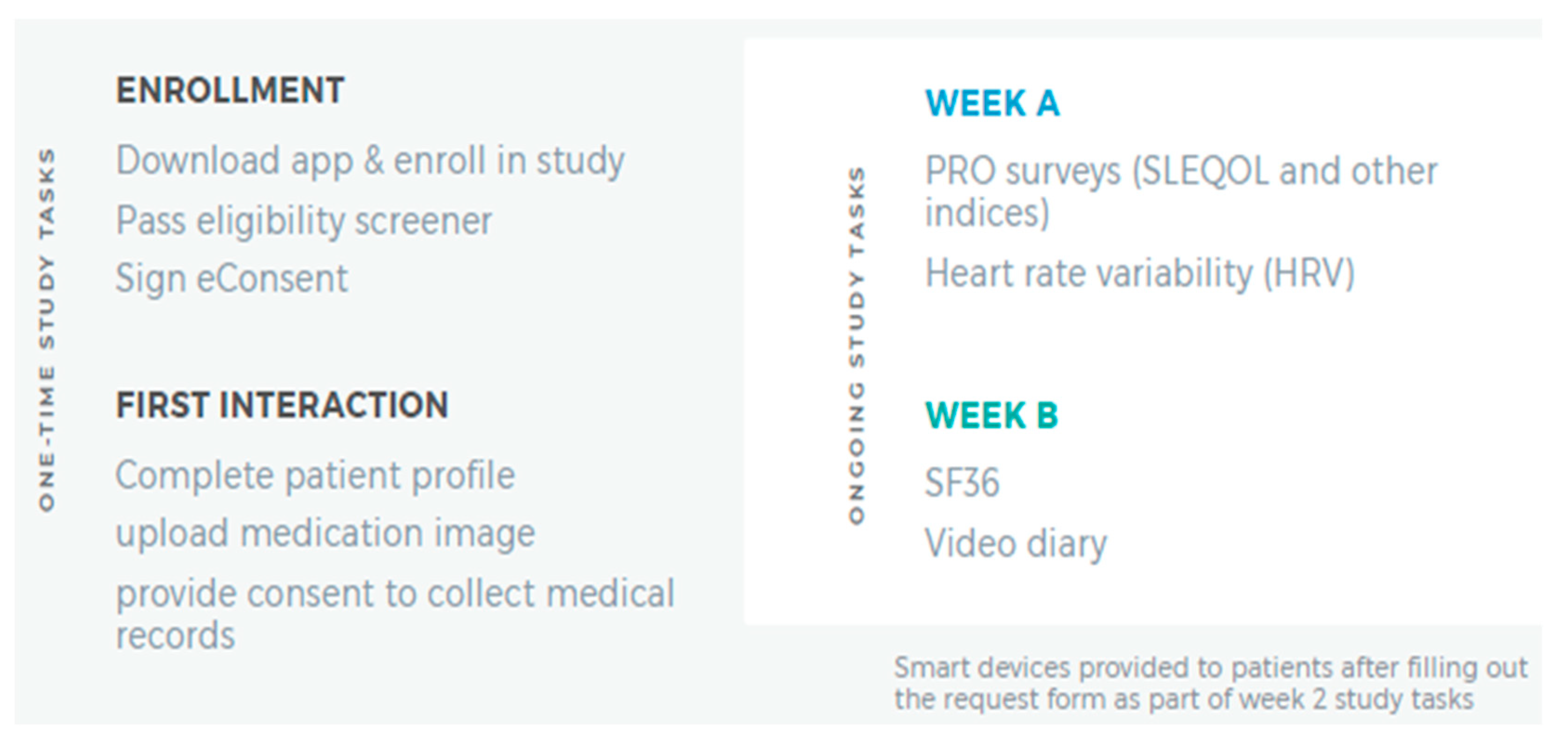Biotech 12 00062 g001