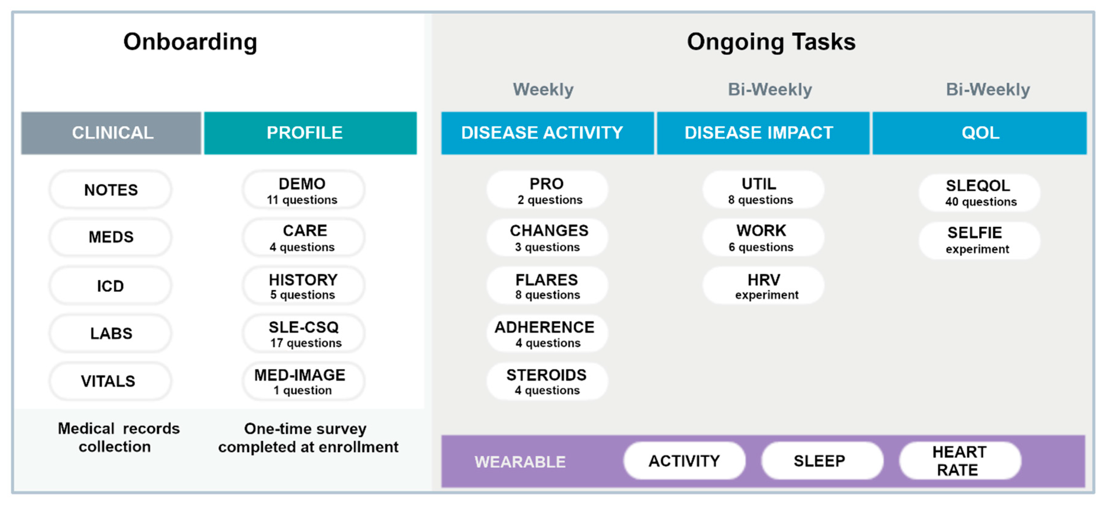 Biotech 12 00062 g002
