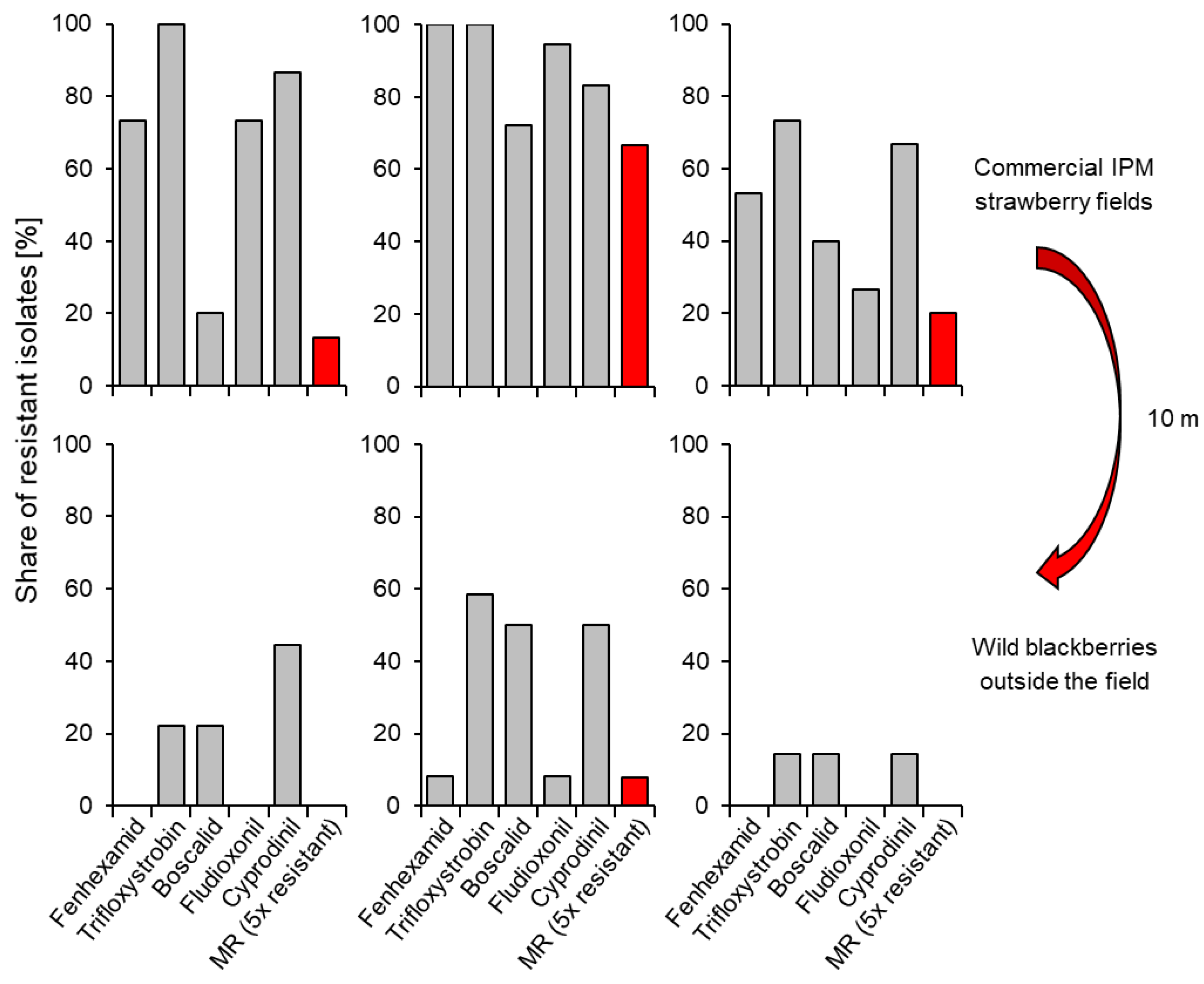Biotech 12 00064 g007