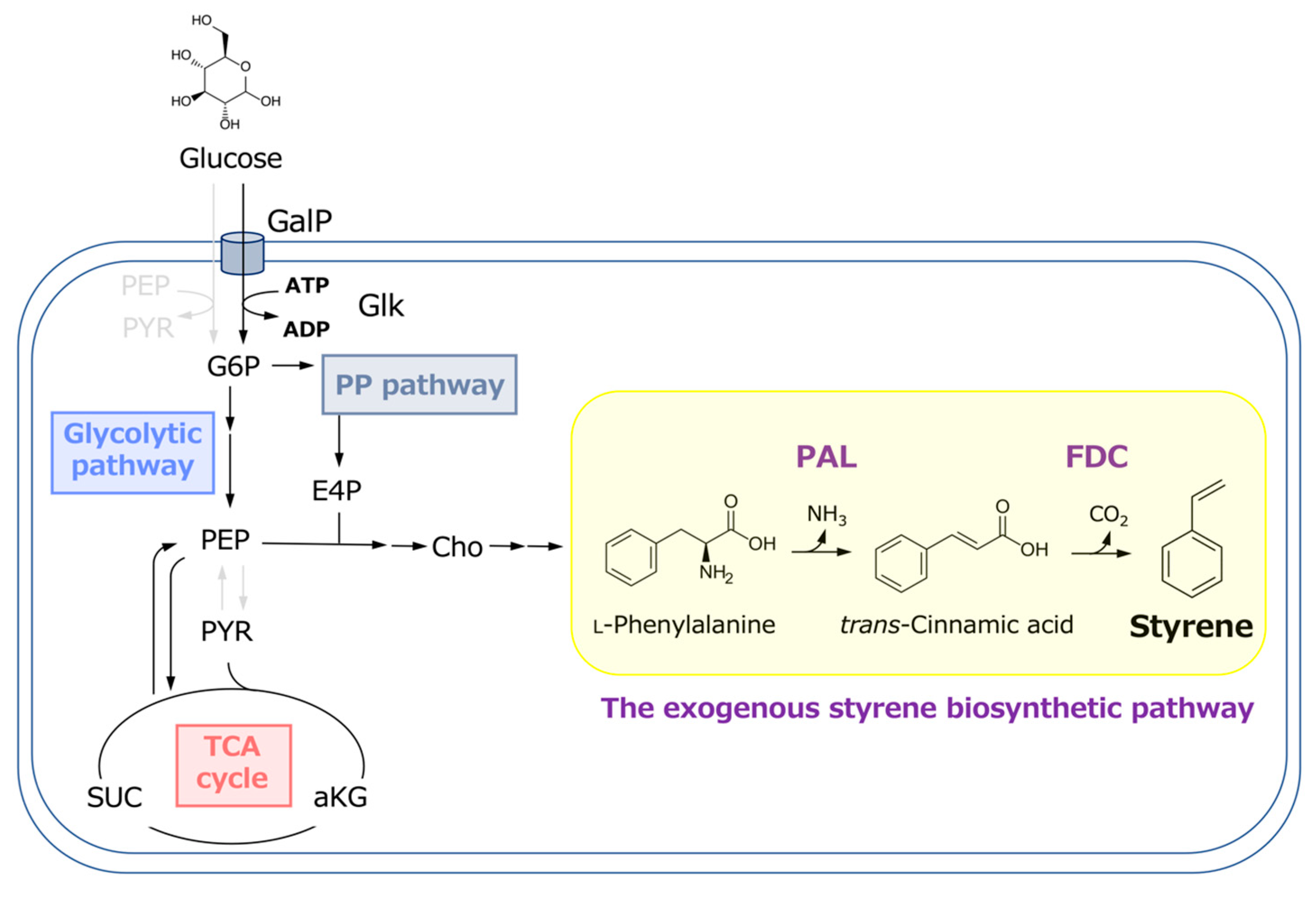 Biotech 13 00002 g001