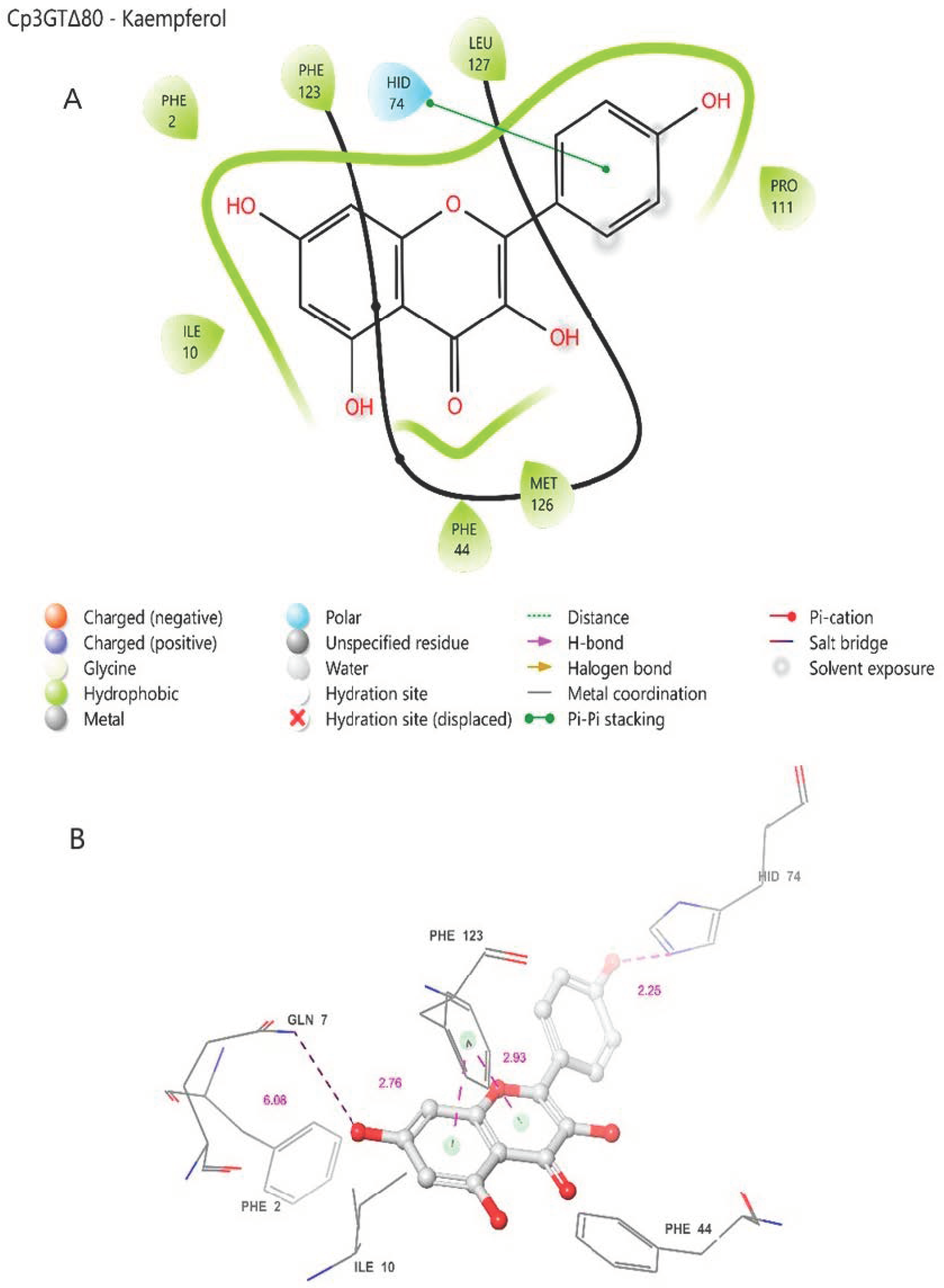 Biotech 13 00004 g008