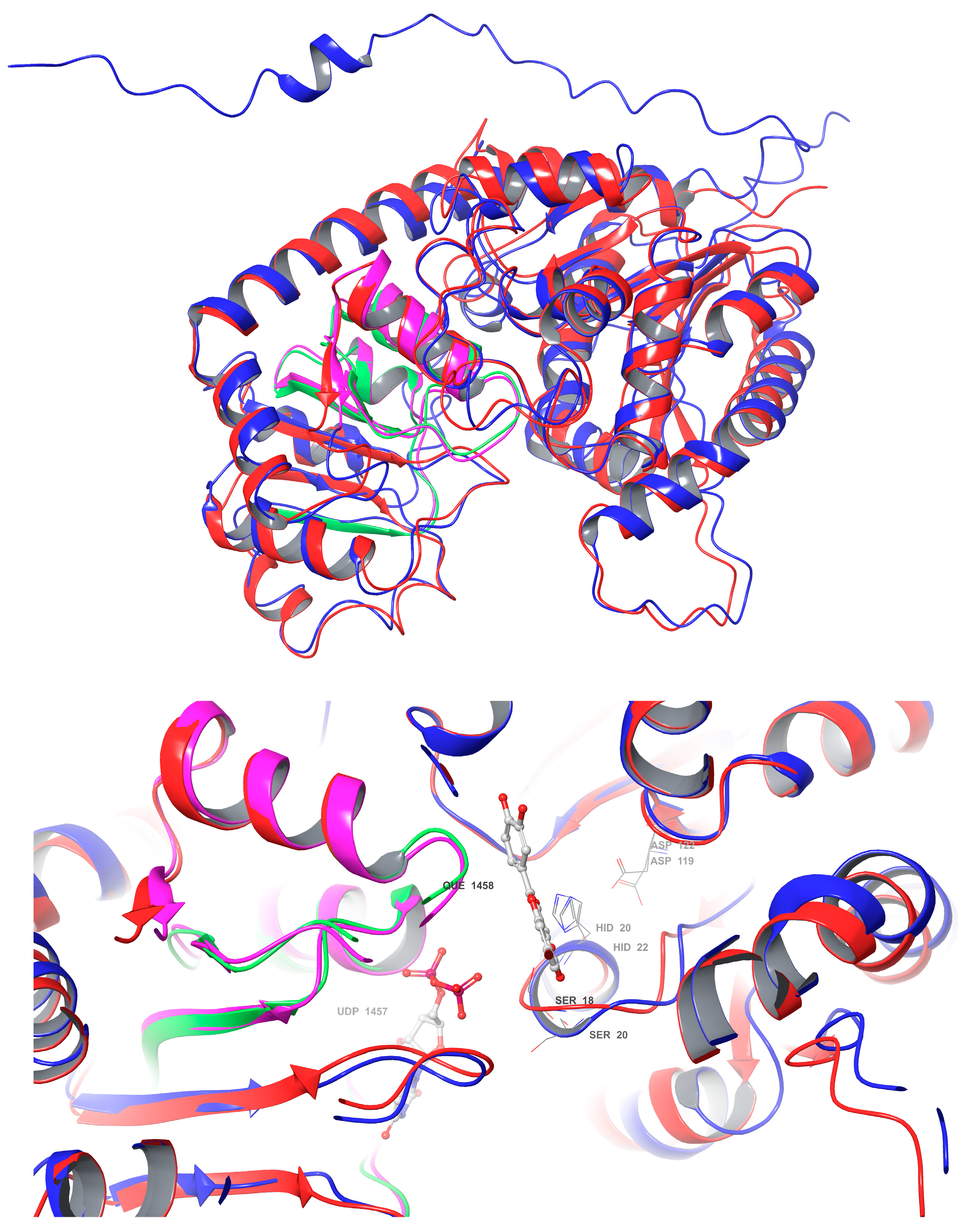 Biotech 13 00004 g009