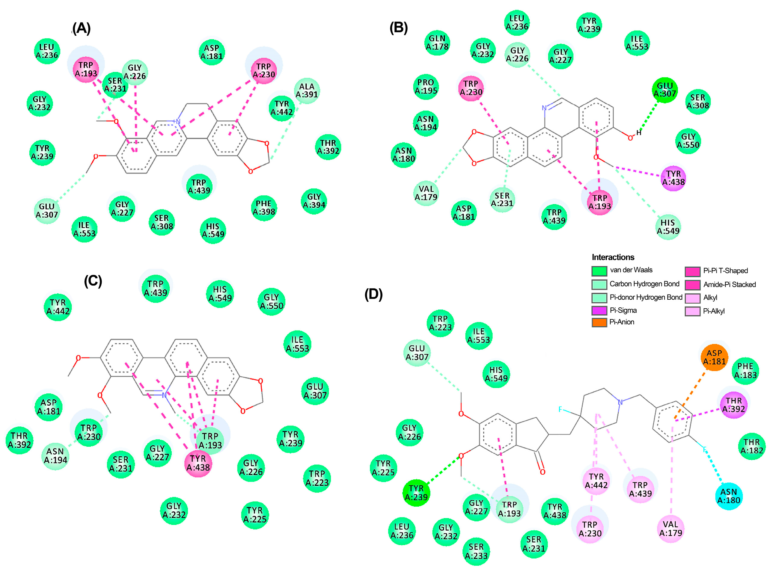 Biotech 13 00005 g005
