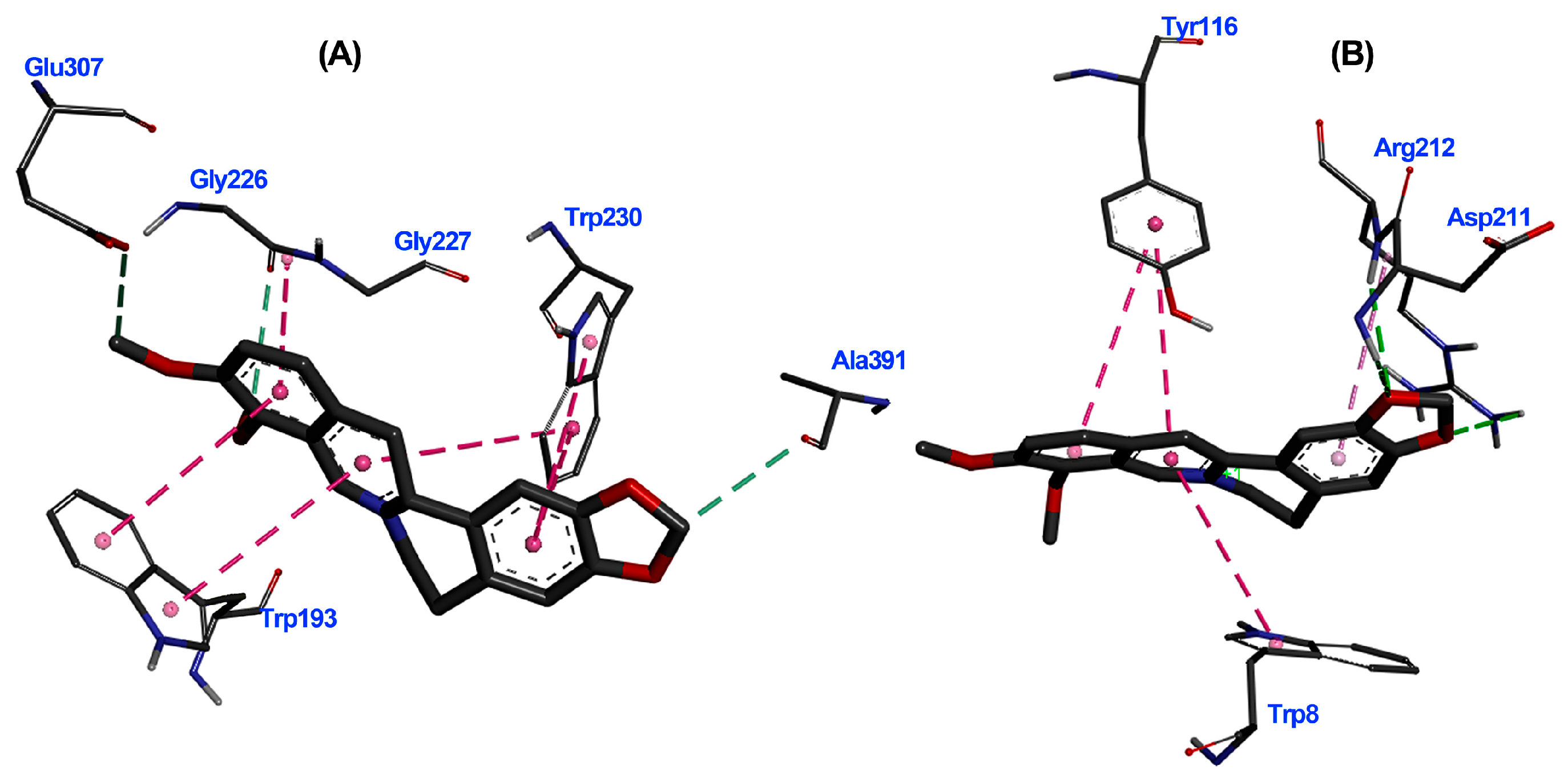 Biotech 13 00005 g007